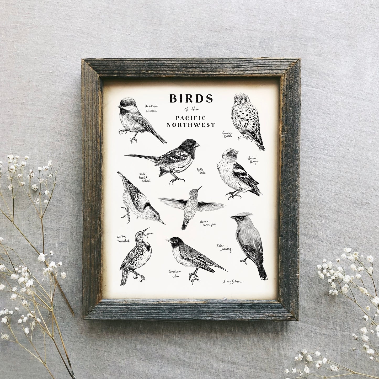 Birds of the Pacific Northwest Art Print