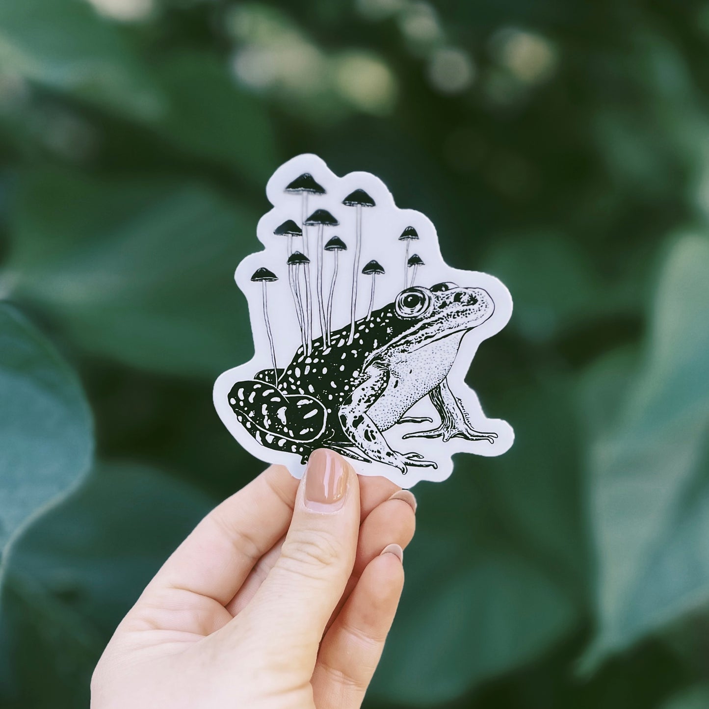Mushroom Frog Vinyl Sticker