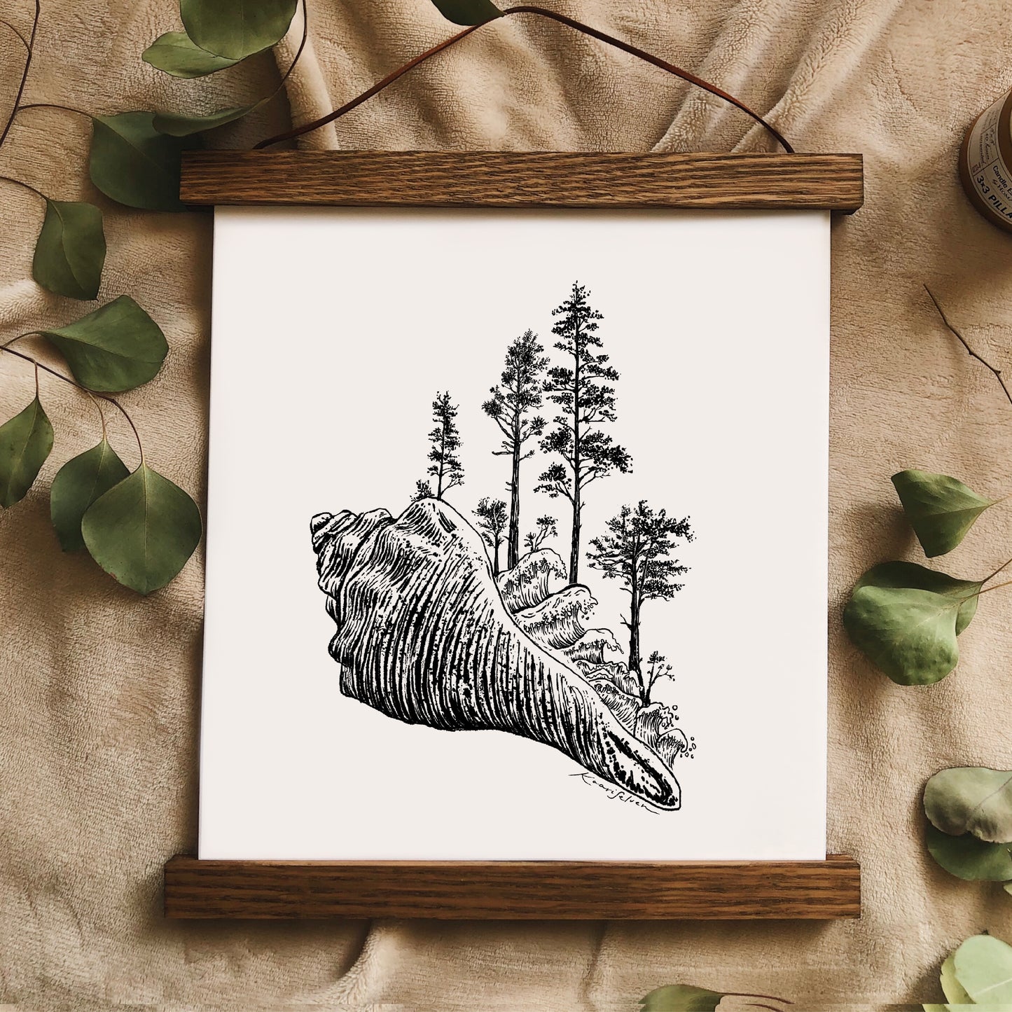 Forested Sitka Spruce Seashell Art Print