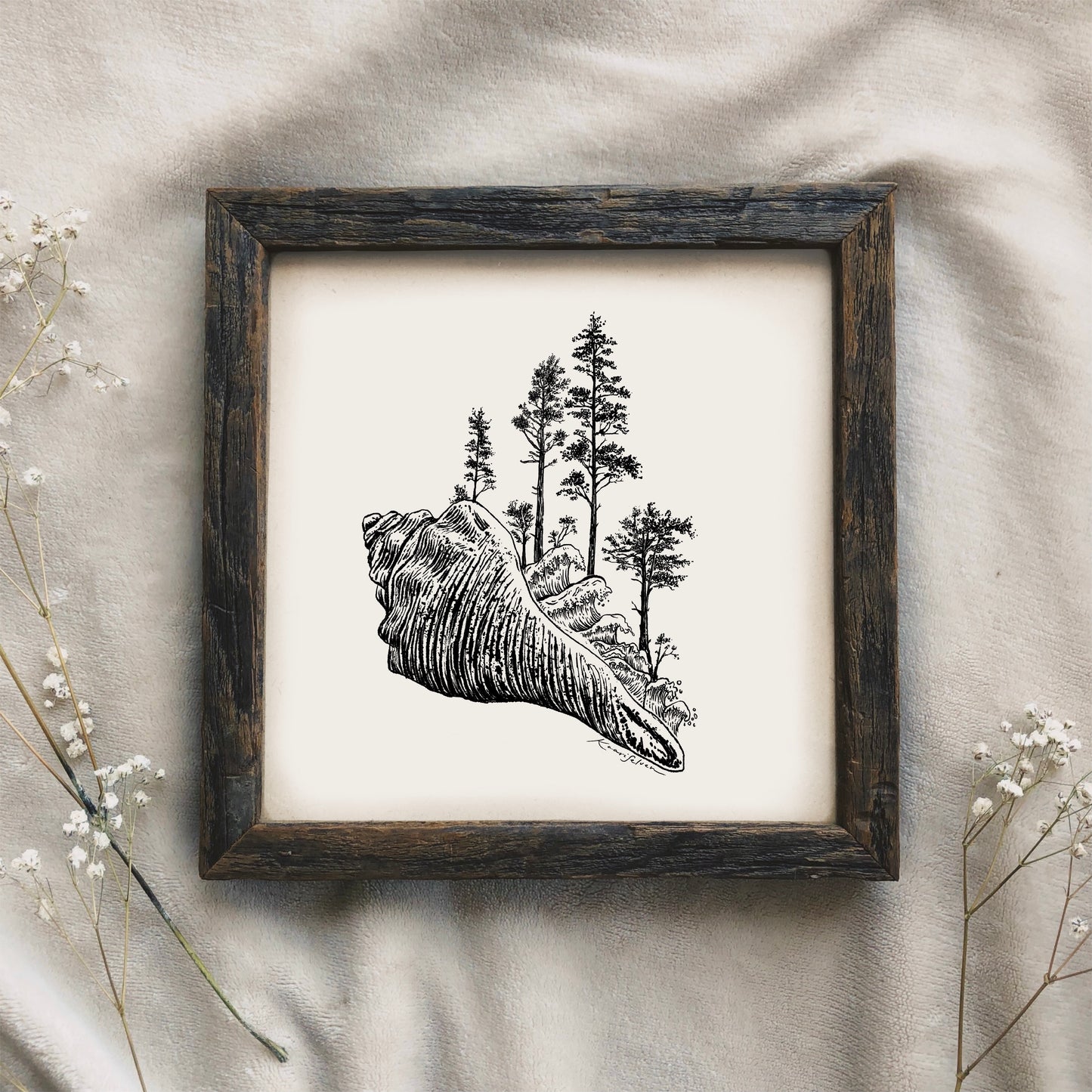 Forested Sitka Spruce Seashell Art Print
