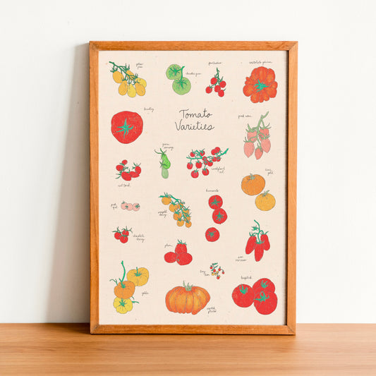 Tomato Varieties Art Print