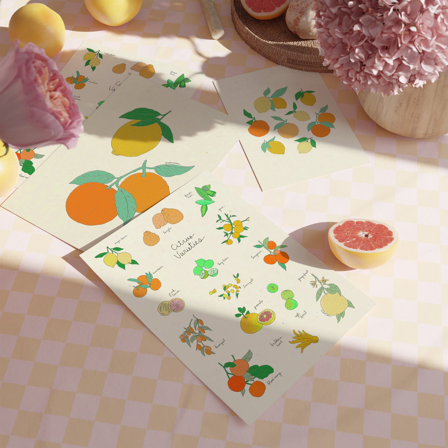 Citrus Varieties Art Print