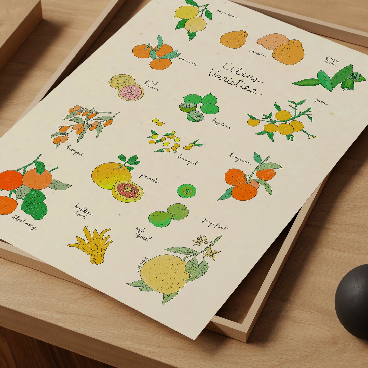 Citrus Varieties Art Print