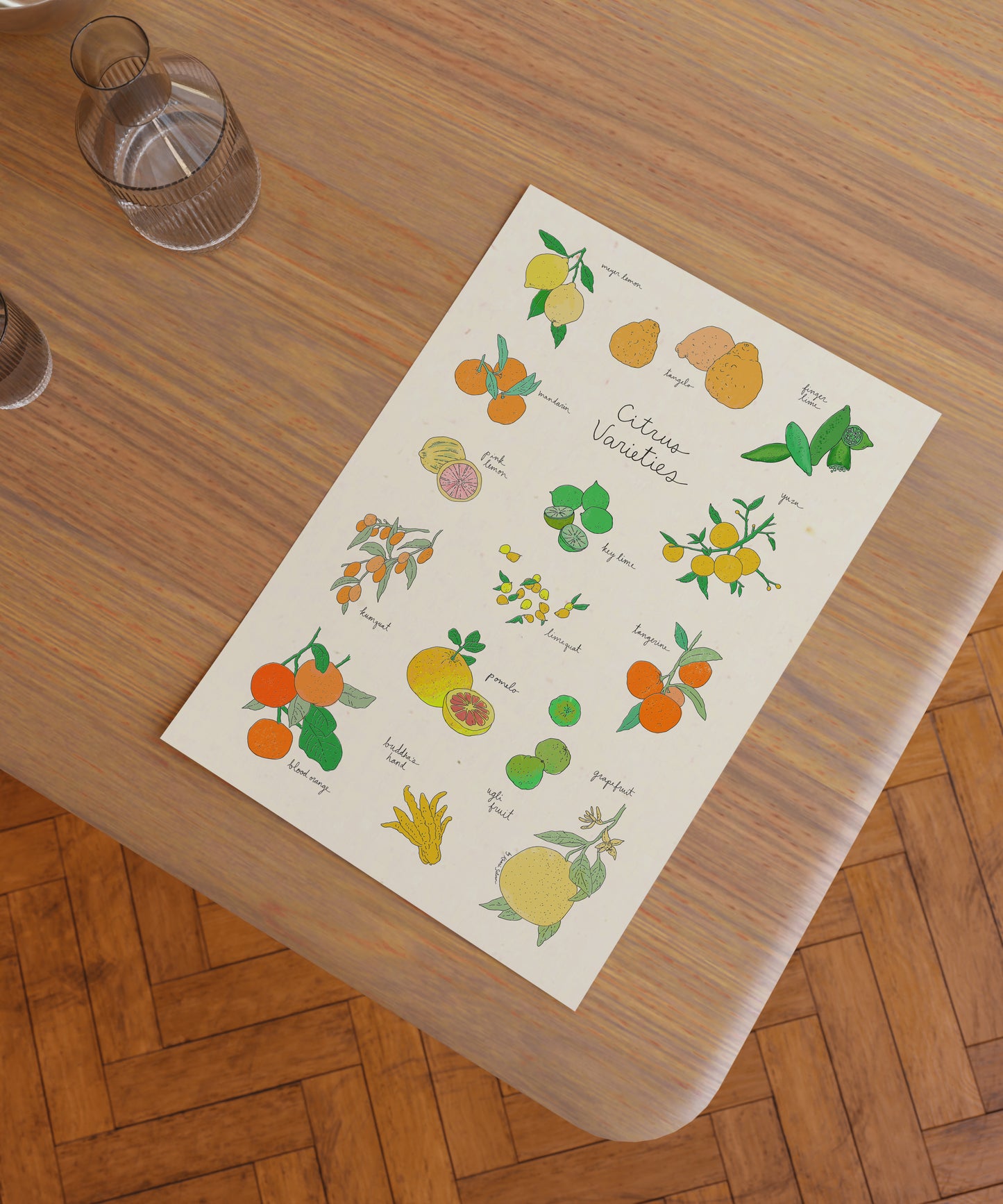 Citrus Varieties Art Print