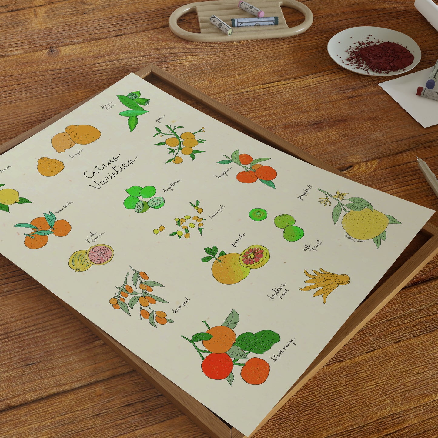 Citrus Varieties Art Print
