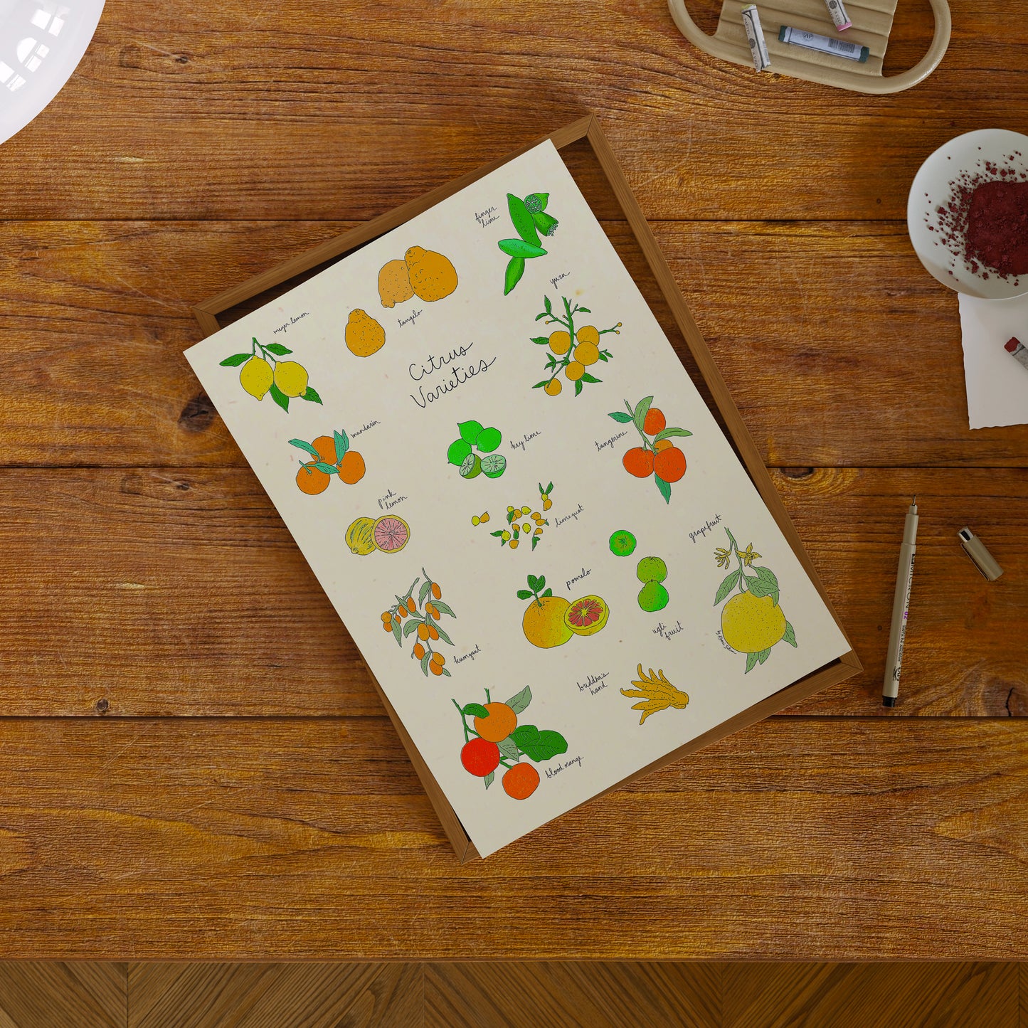 Citrus Varieties Art Print
