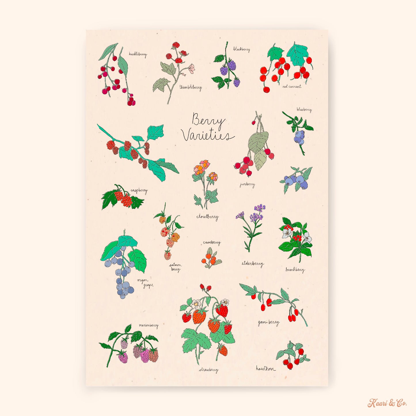 Berry Varieties Art Print