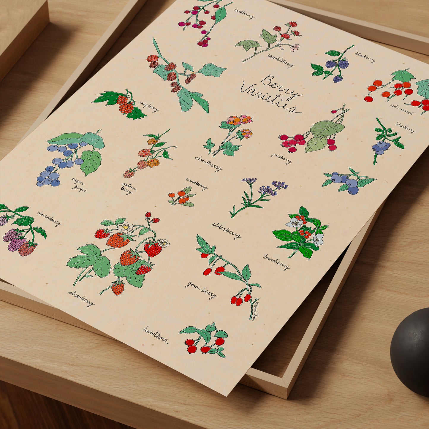 Berry Varieties Art Print