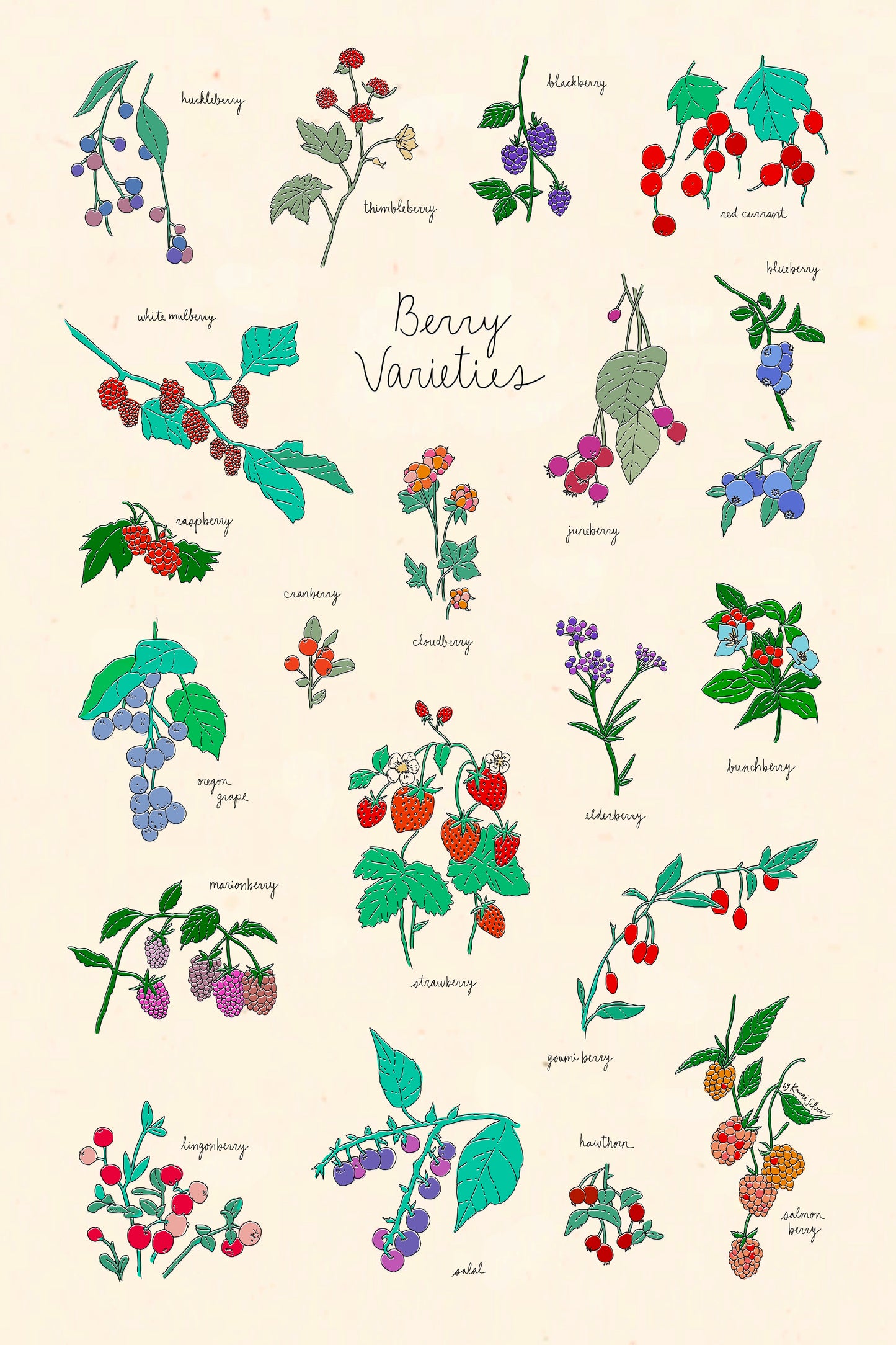 Berry Varieties Art Print