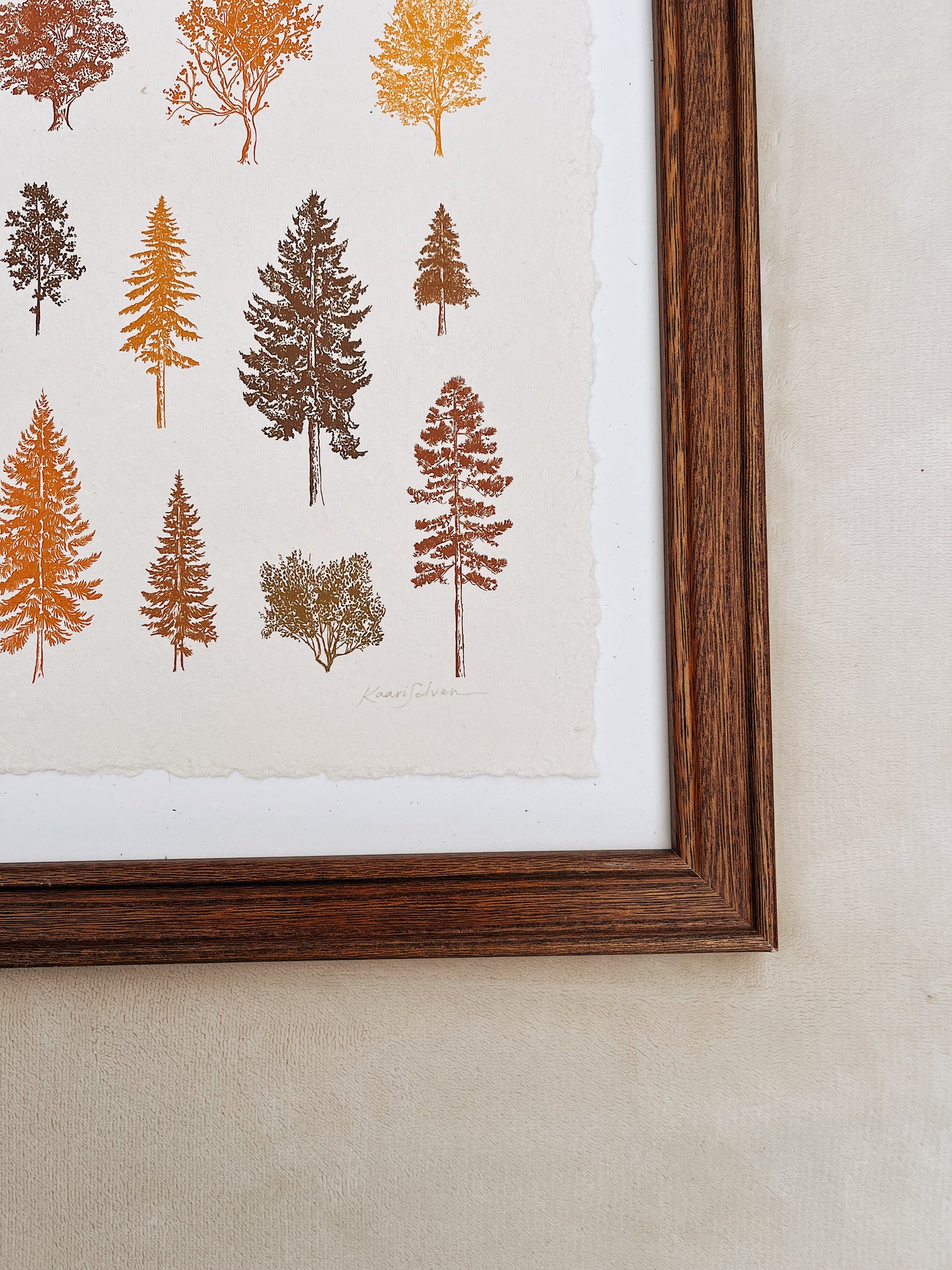 Autumn Tree Study Heirloom Art Print
