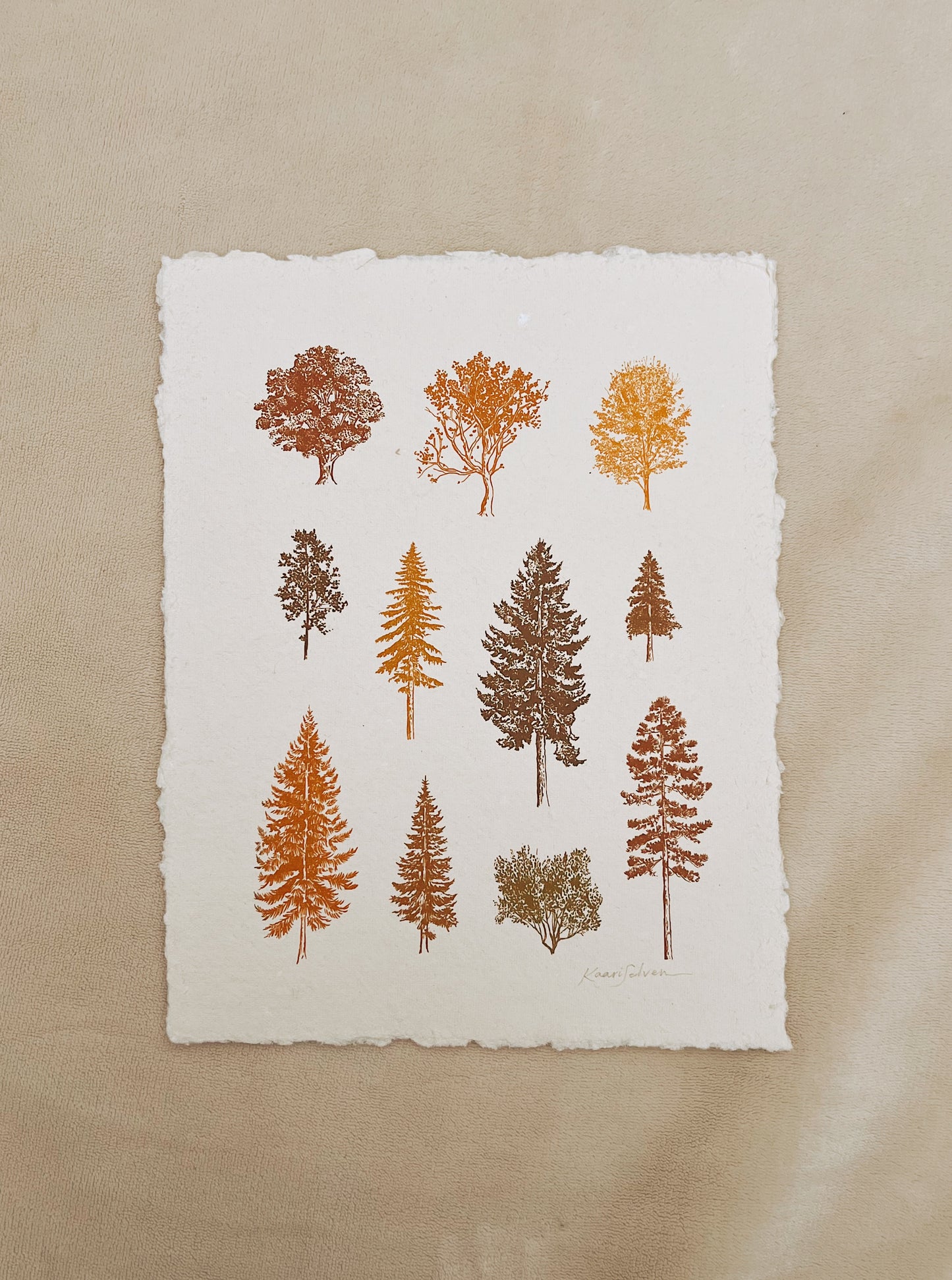 Autumn Tree Study Heirloom Art Print