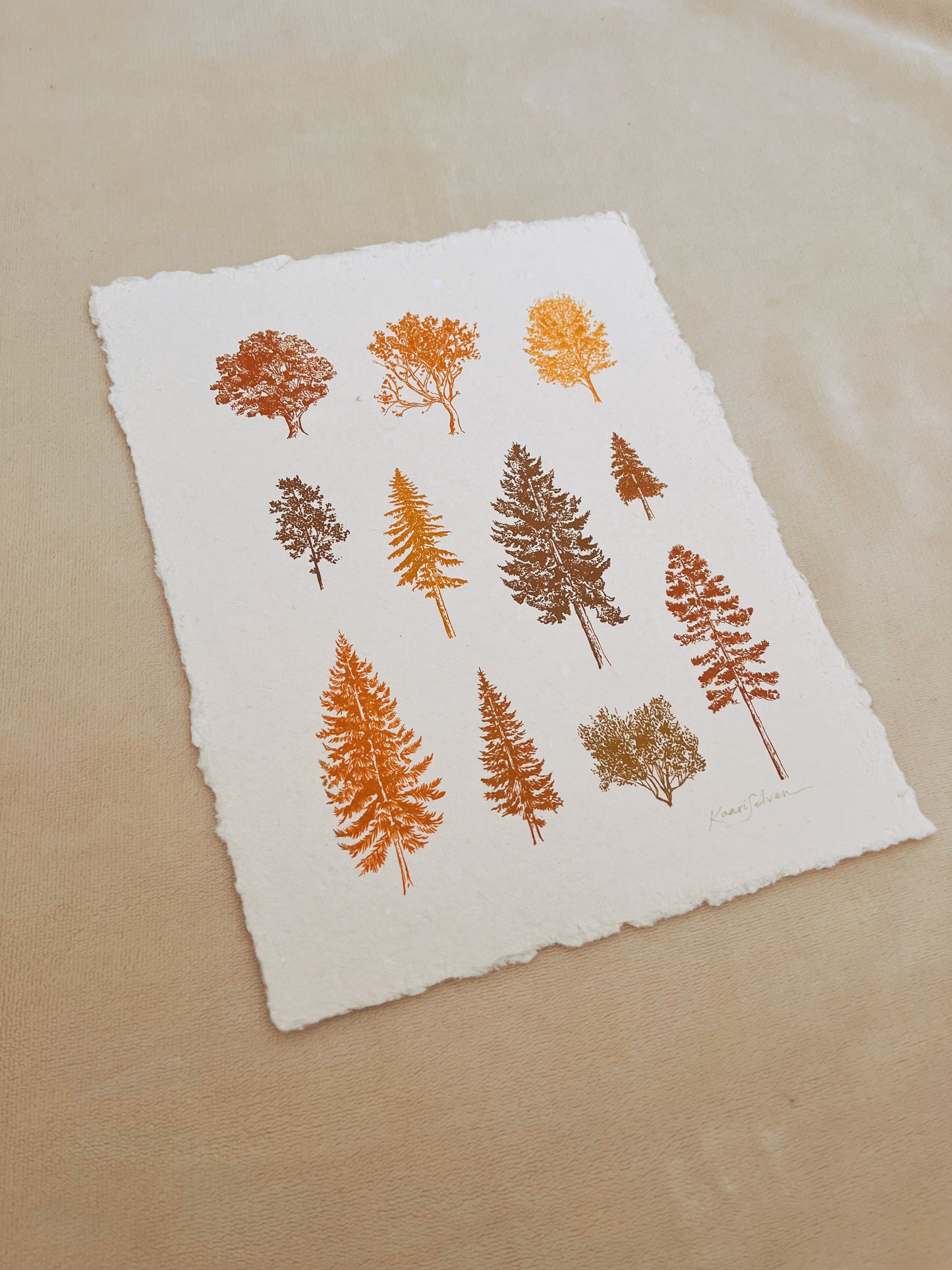 Autumn Tree Study Heirloom Art Print