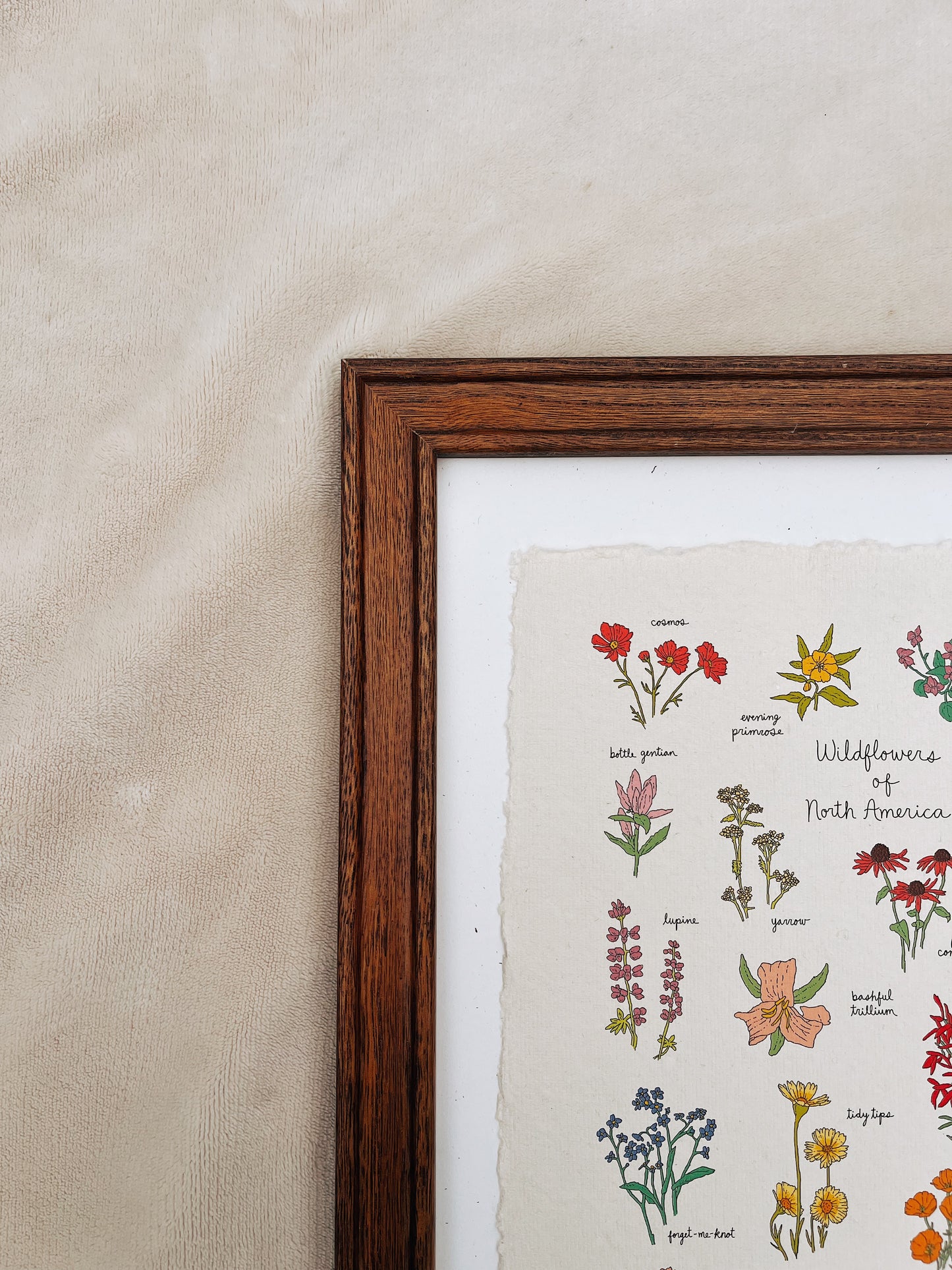 Wildflowers of North America Heirloom Art Print
