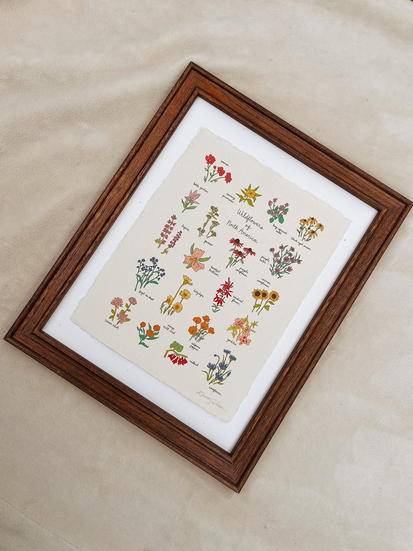 Wildflowers of North America Heirloom Art Print