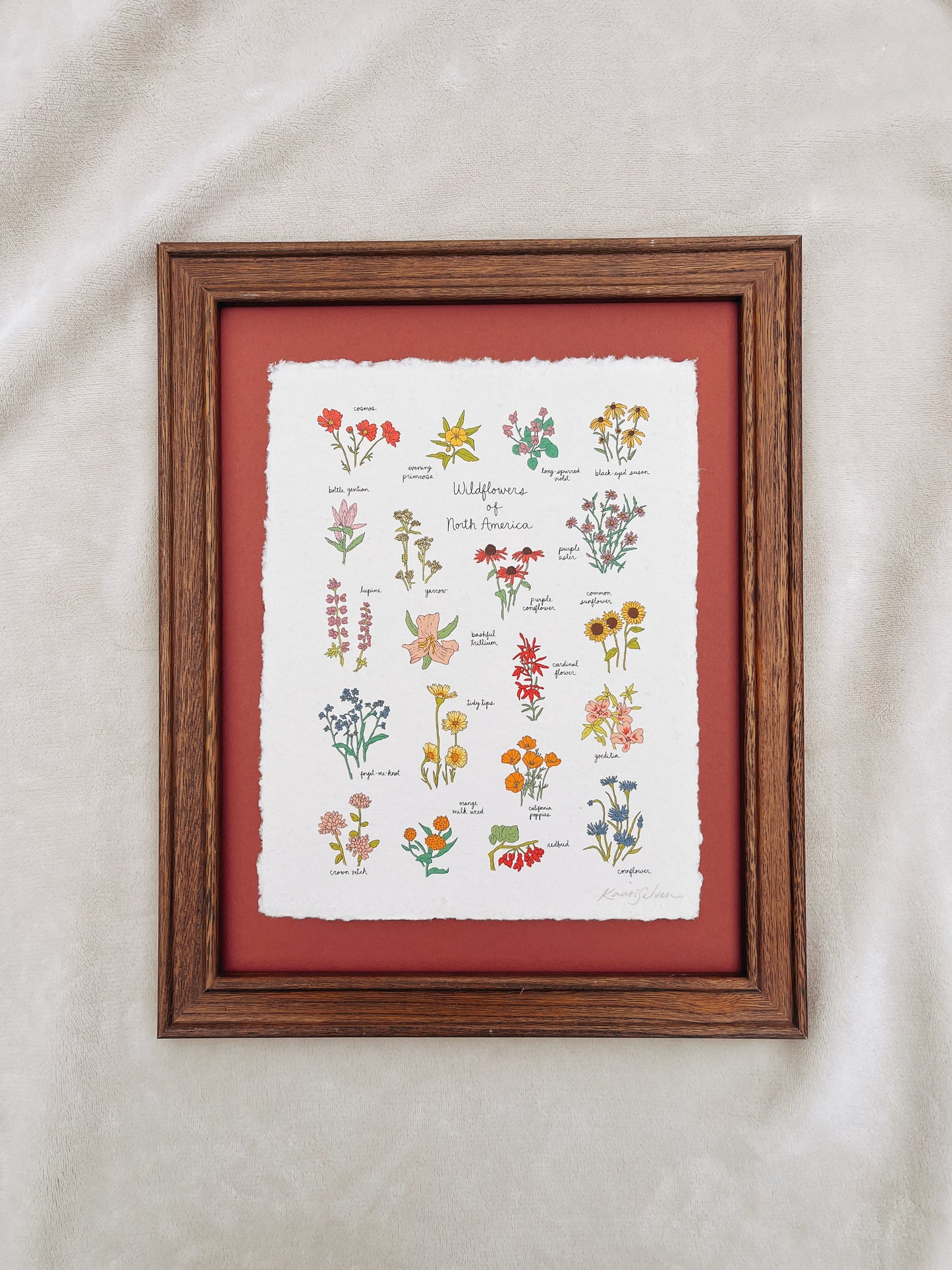 Wildflowers of North America Heirloom Art Print