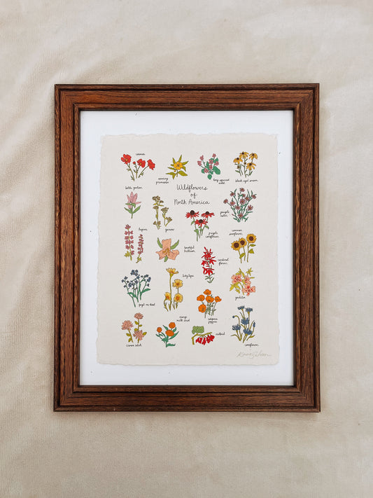 Wildflowers of North America Heirloom Art Print