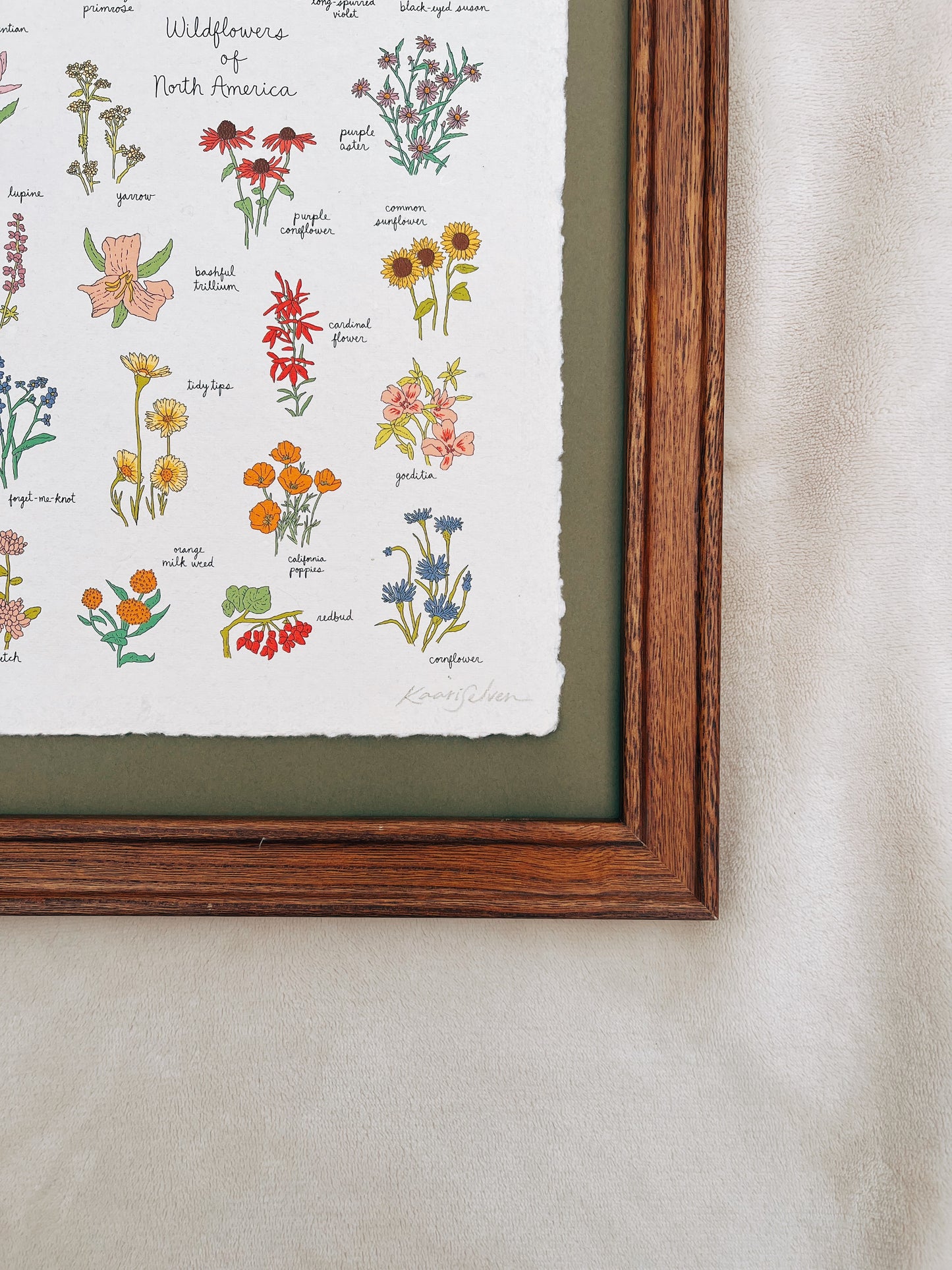 Wildflowers of North America Heirloom Art Print