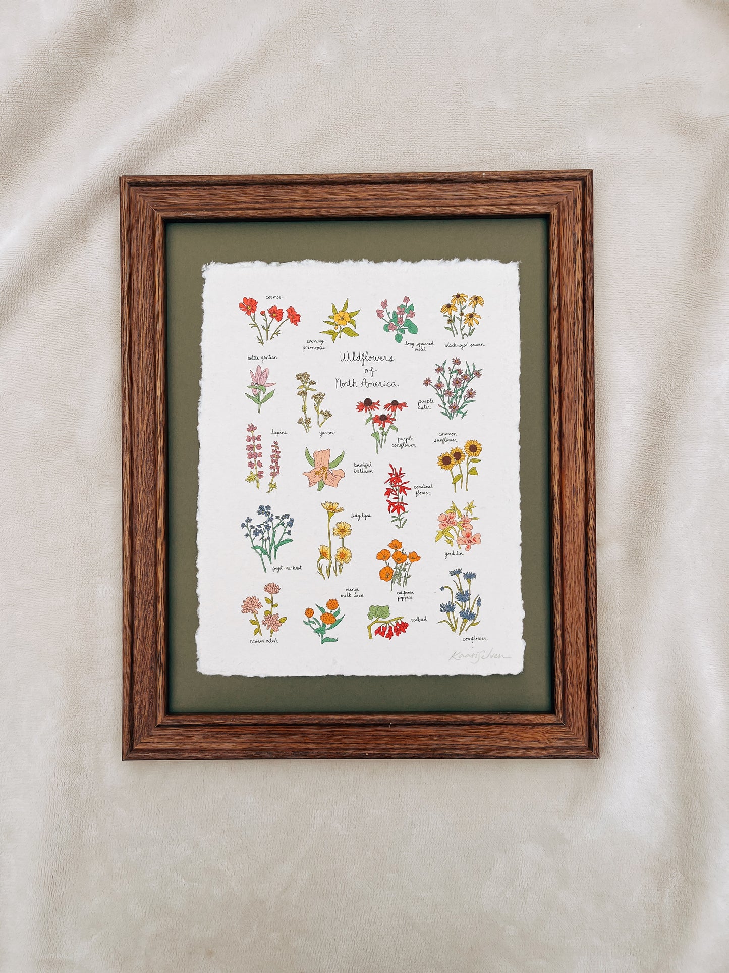Wildflowers of North America Heirloom Art Print