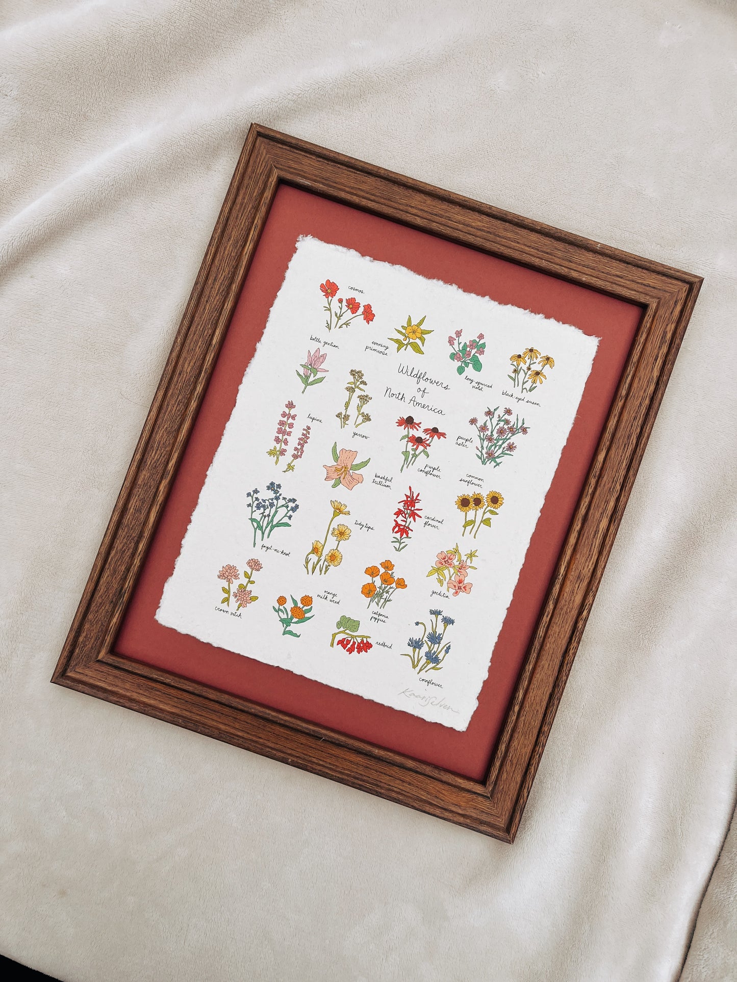 Wildflowers of North America Heirloom Art Print