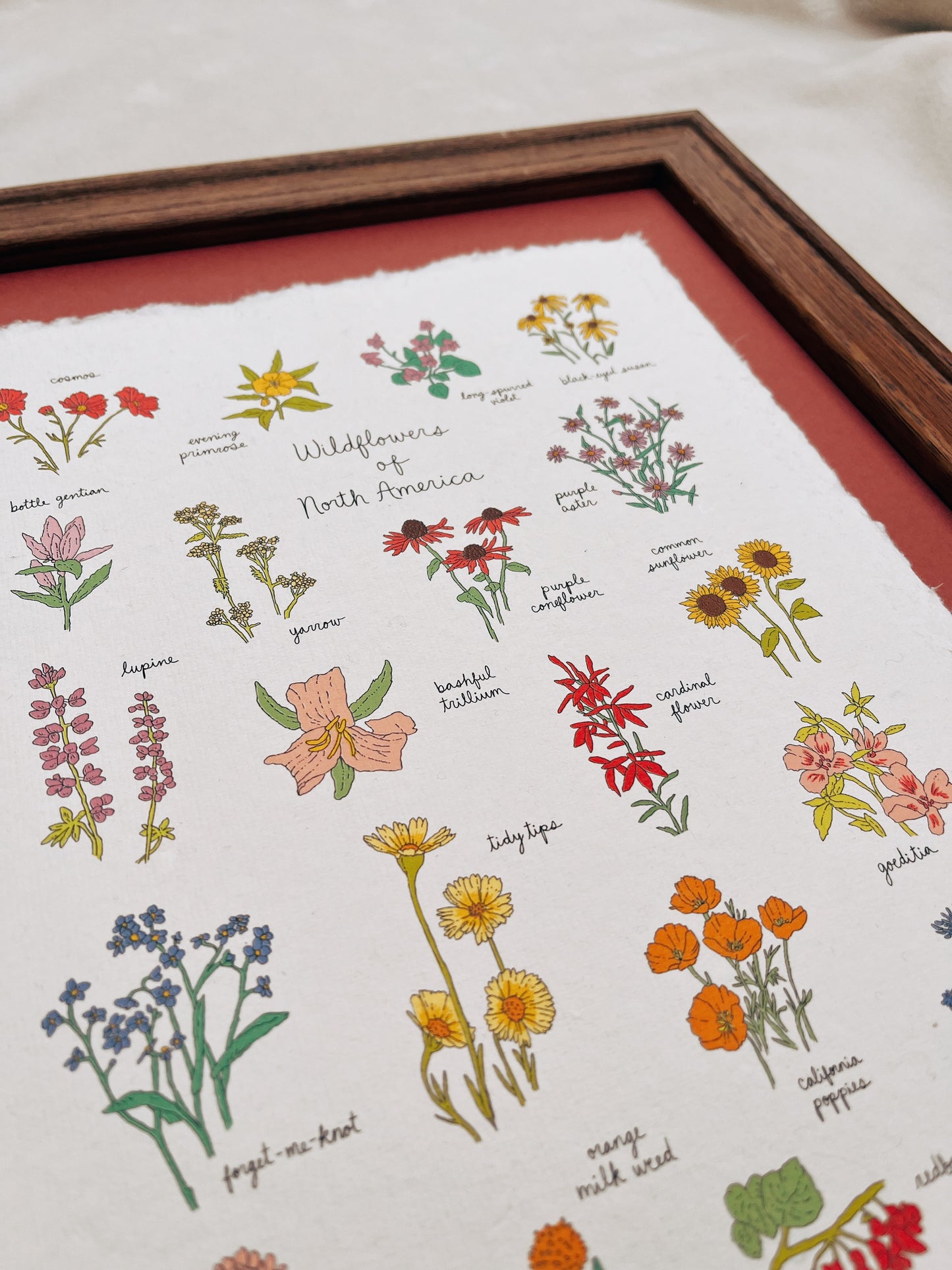 Wildflowers of North America Heirloom Art Print