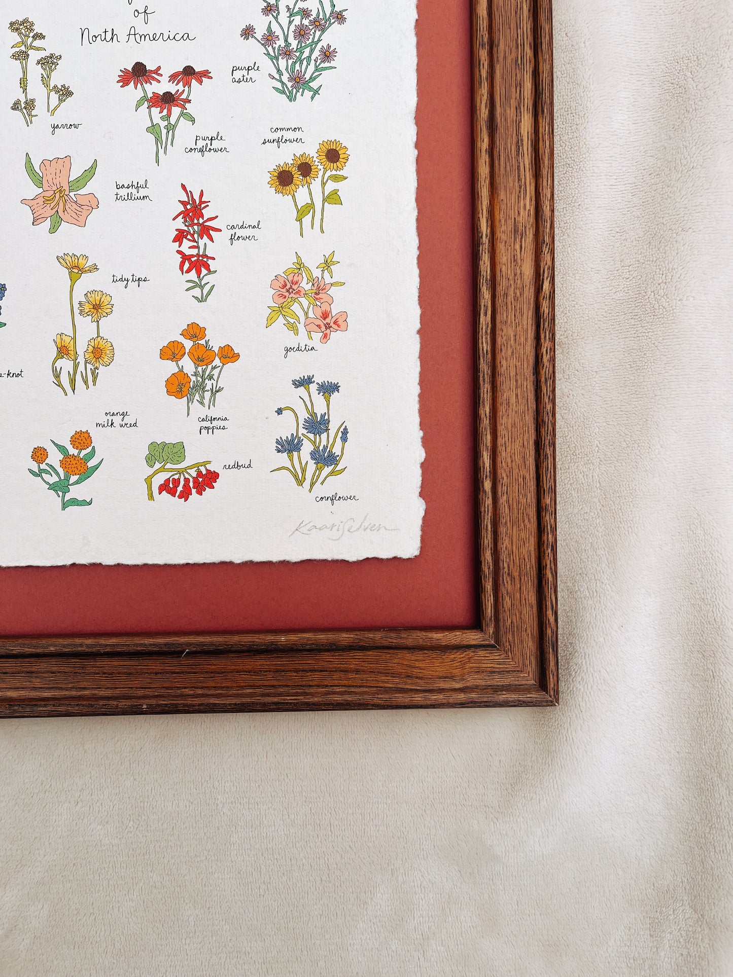 Wildflowers of North America Heirloom Art Print