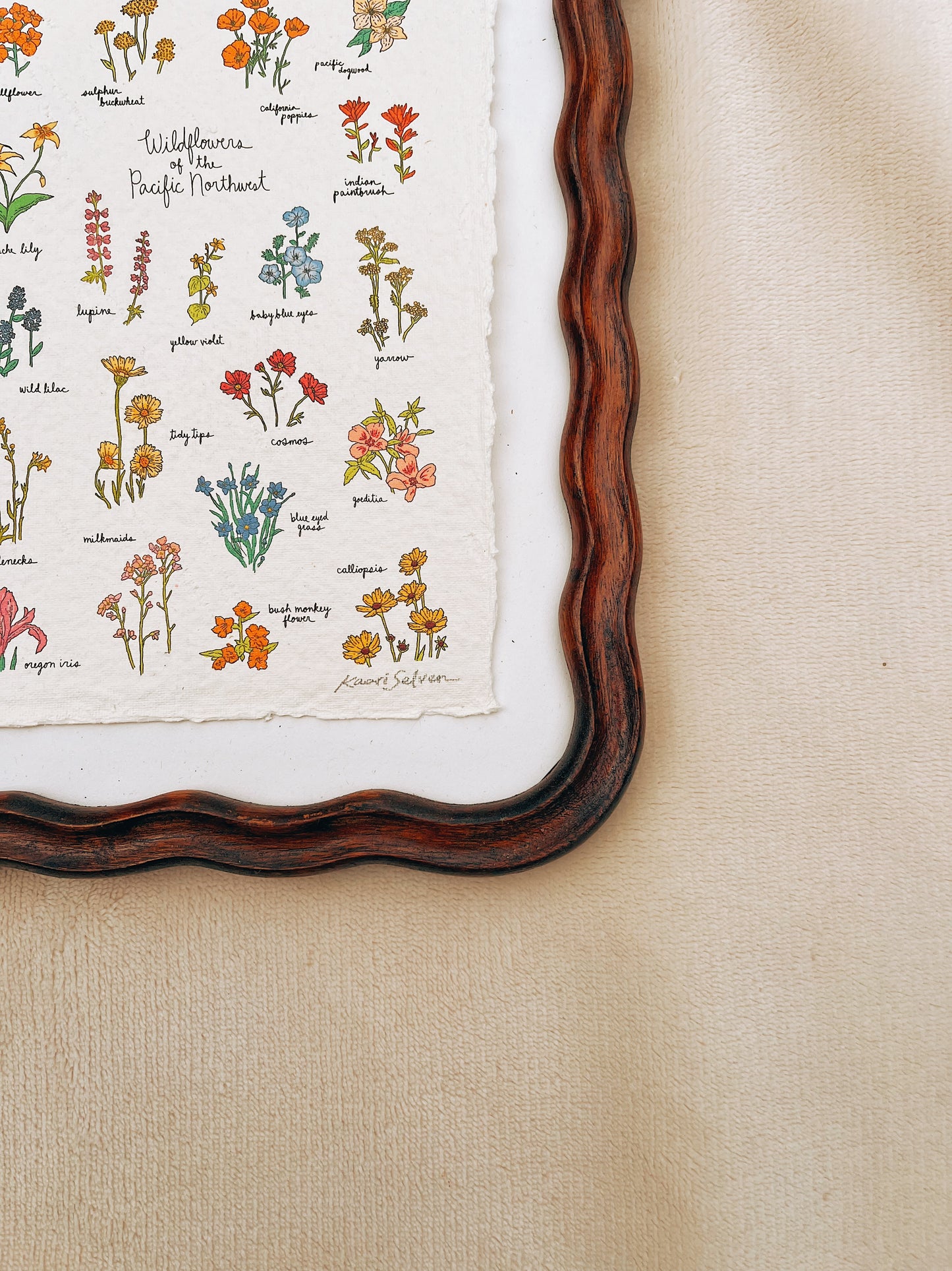 Wildflowers of the Pacific Northwest Heirloom Art Print