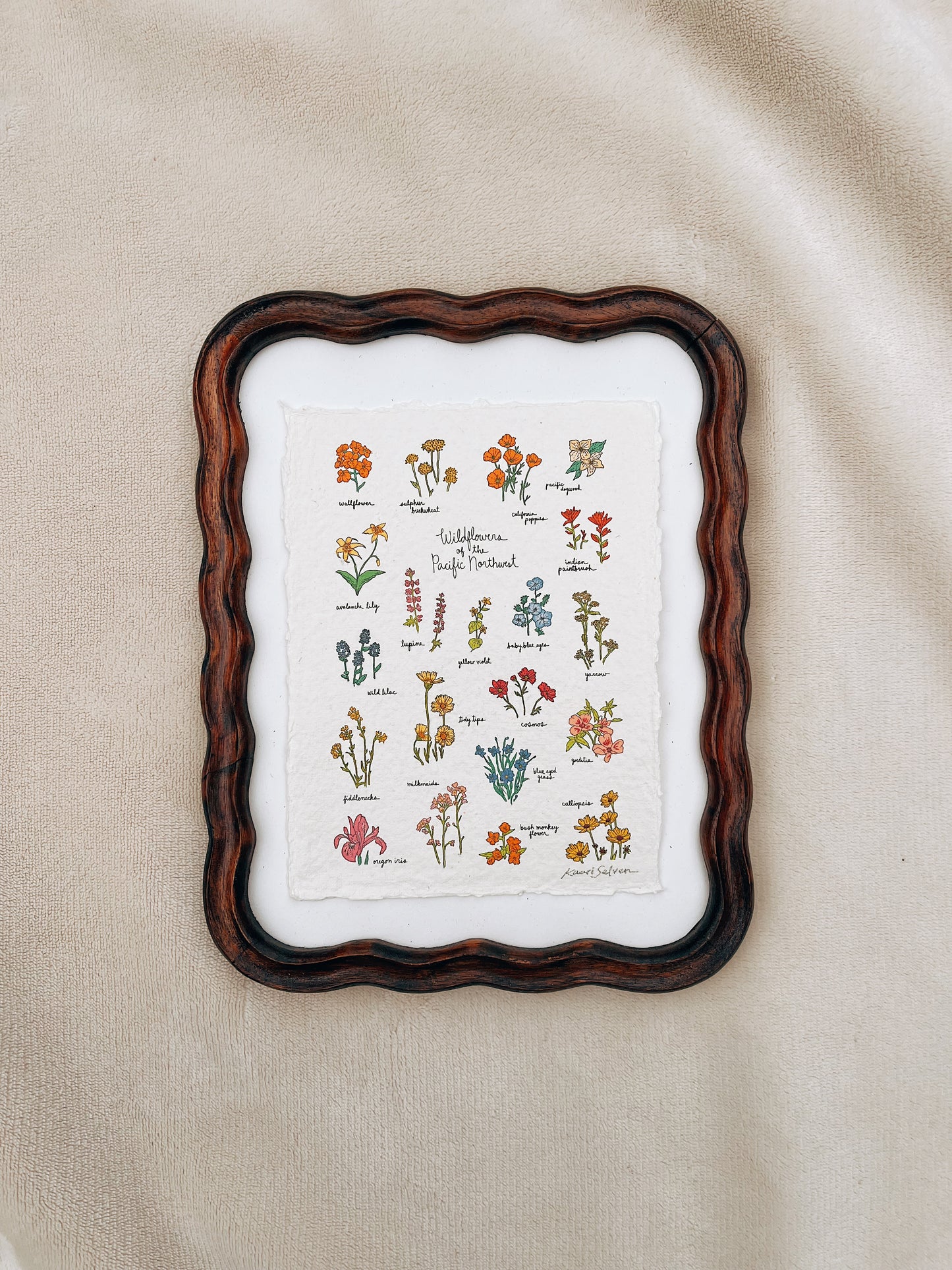 Wildflowers of the Pacific Northwest Heirloom Art Print