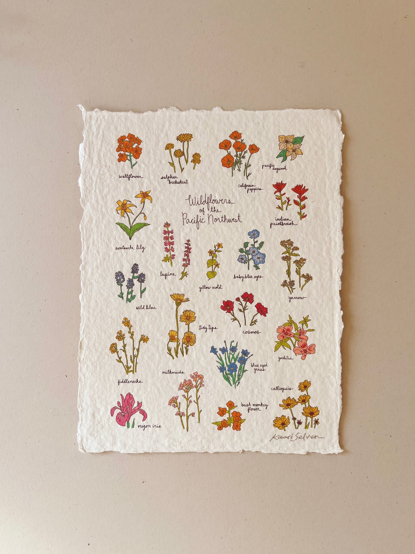Wildflowers of the Pacific Northwest Heirloom Art Print