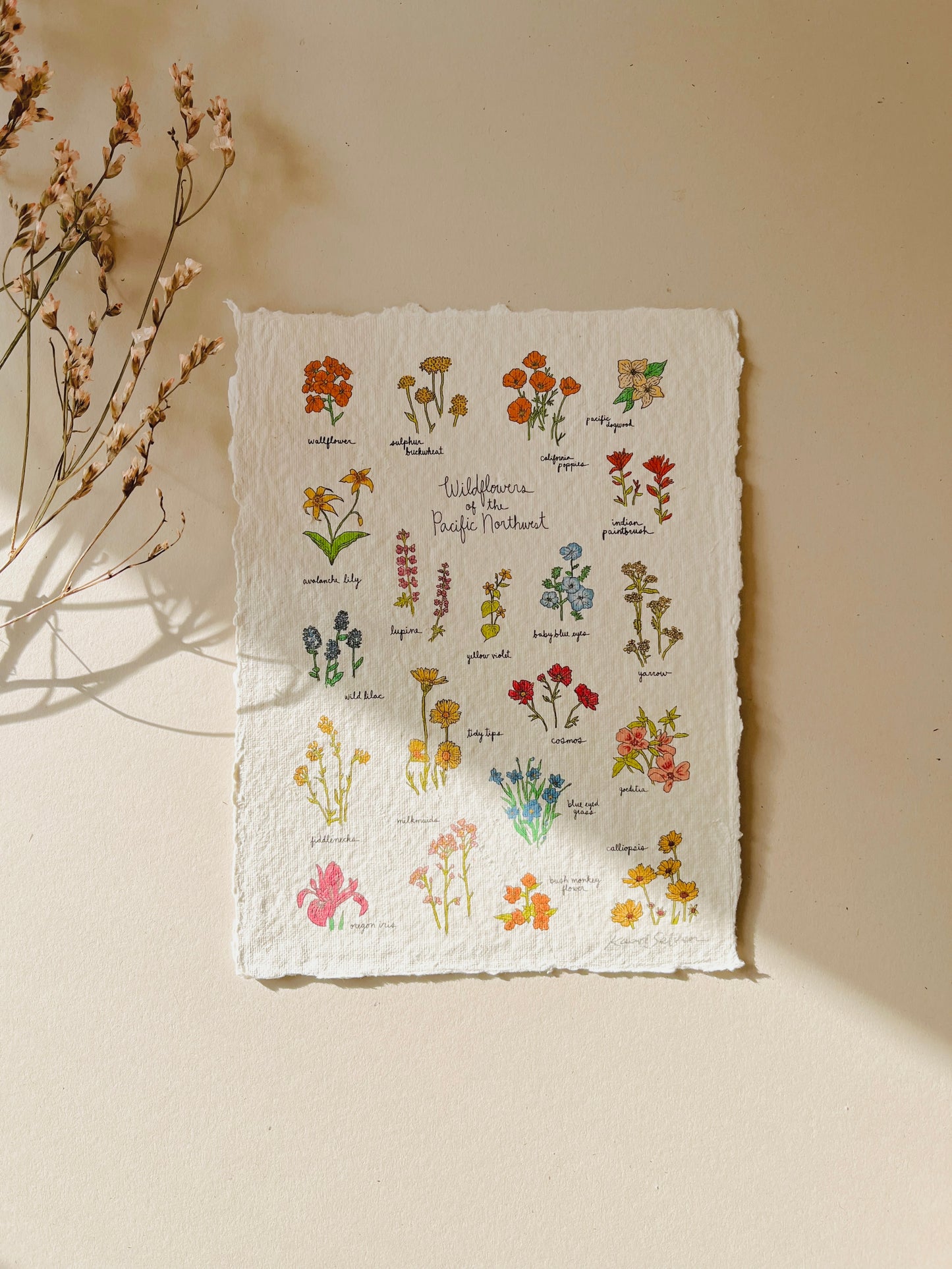 Wildflowers of the Pacific Northwest Heirloom Art Print