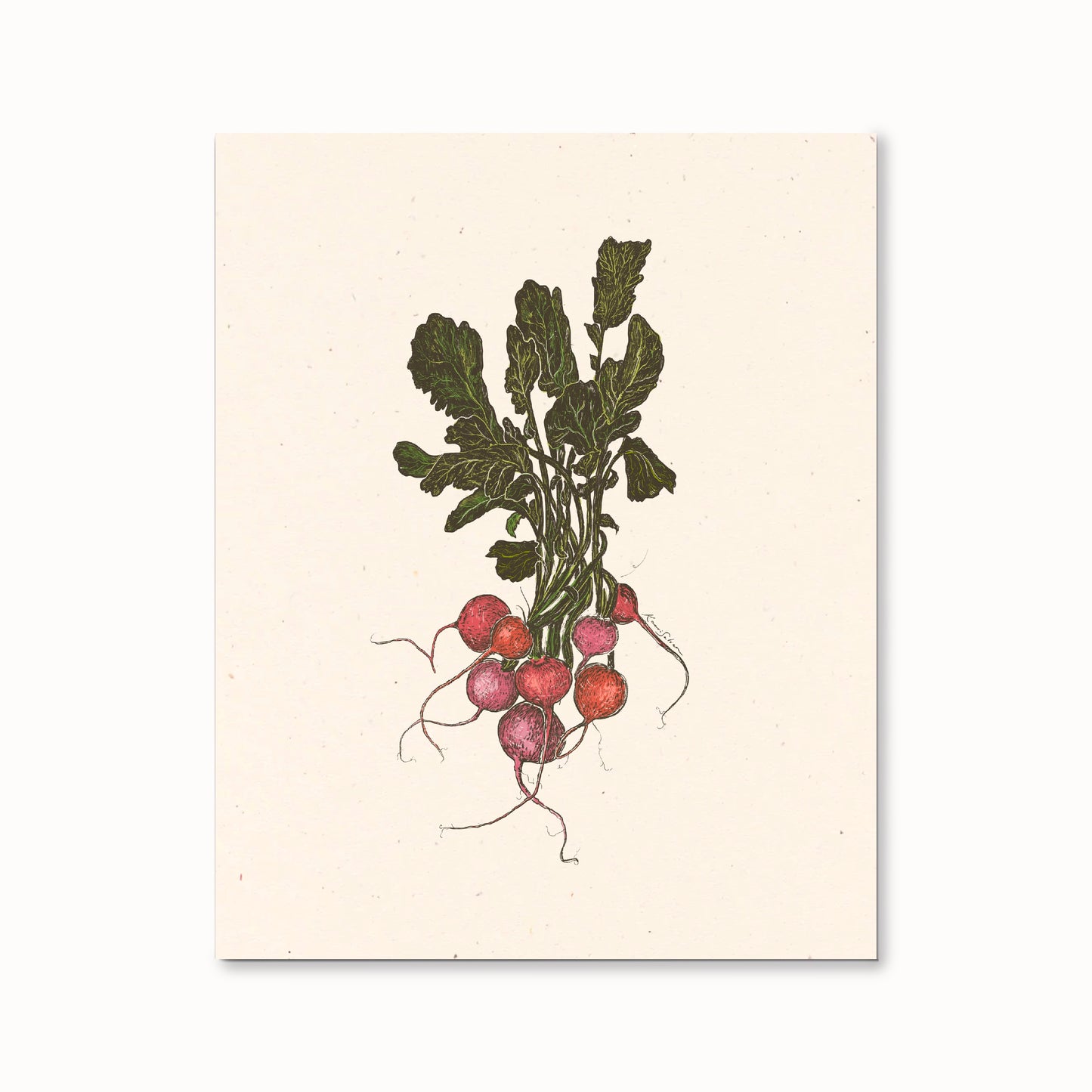 Bunch of Radishes Art Print - Open Edition