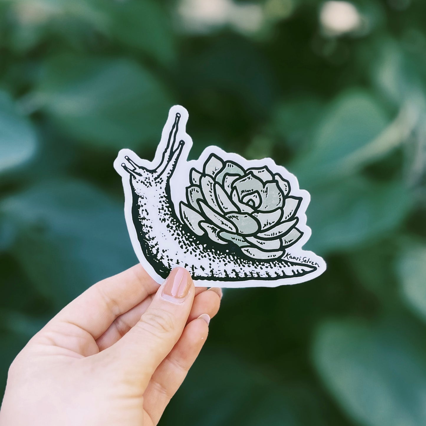 Succulent Snail Vinyl Sticker