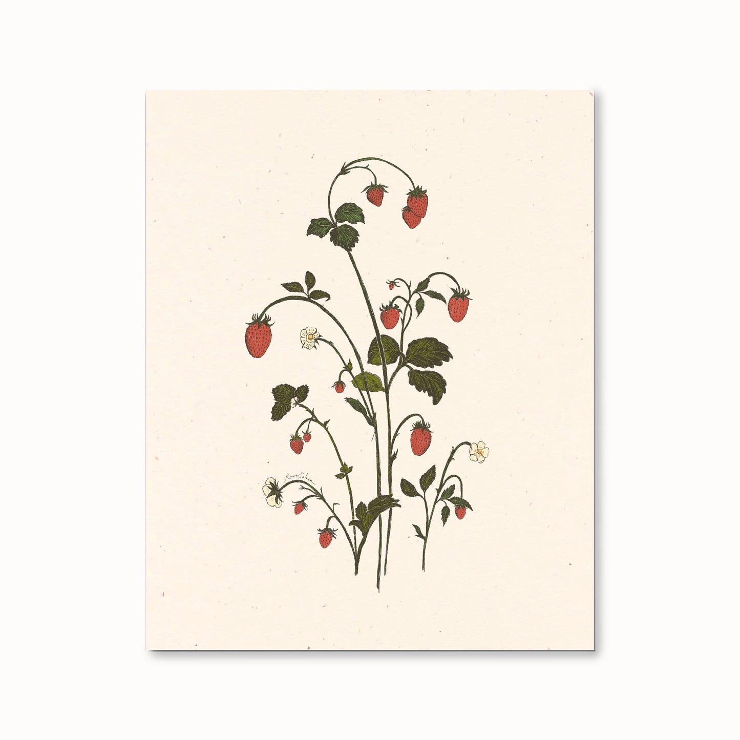 Strawberry Sprig Art Print - Open Edition