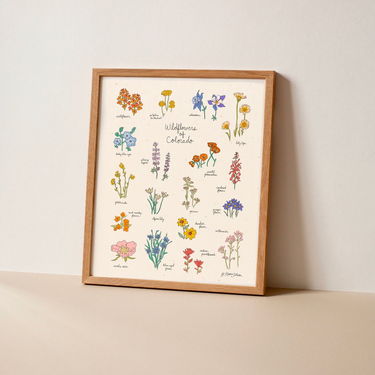 Wildflowers of Colorado Art Print