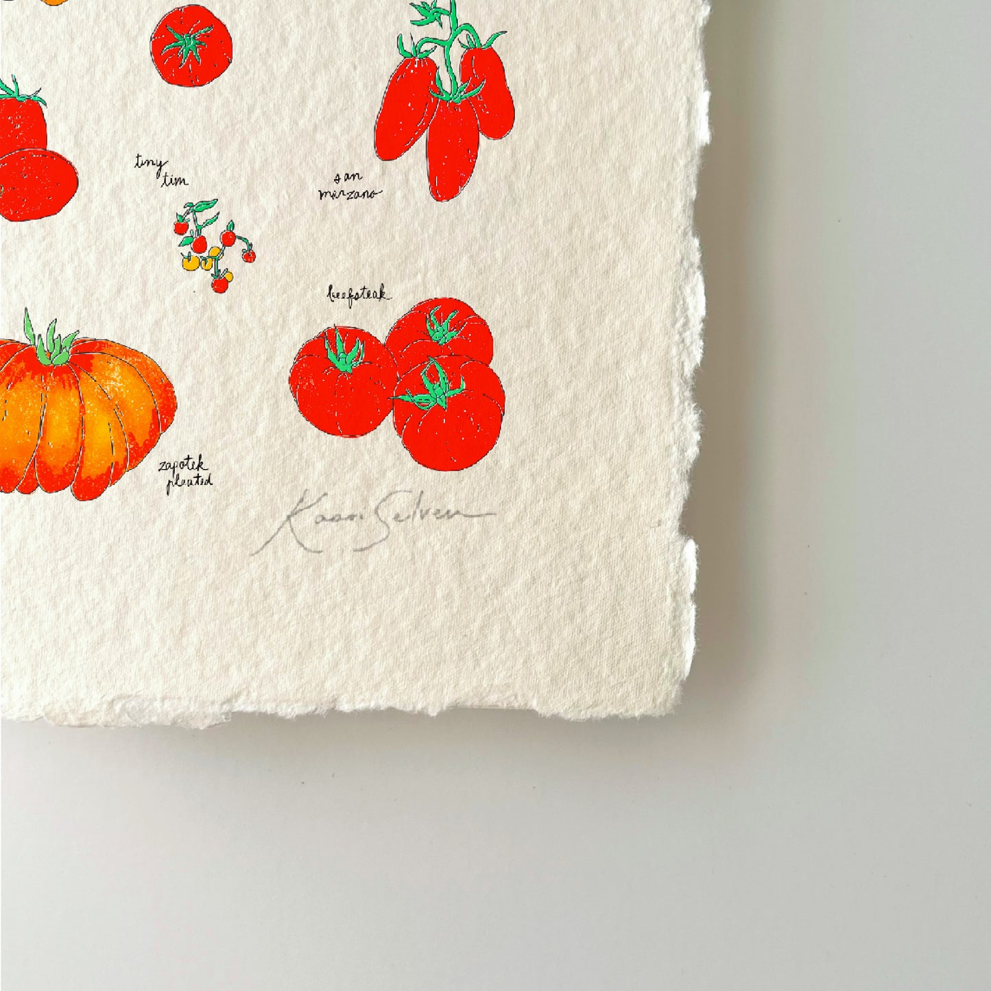 Tomato Varieties Heirloom Art Print