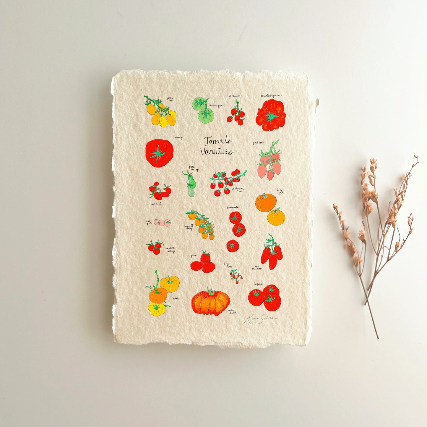 Tomato Varieties Heirloom Art Print