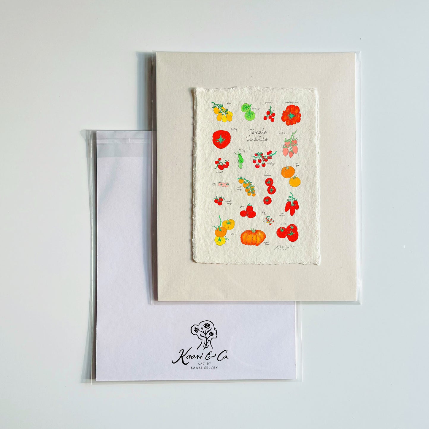 Tomato Varieties Heirloom Art Print