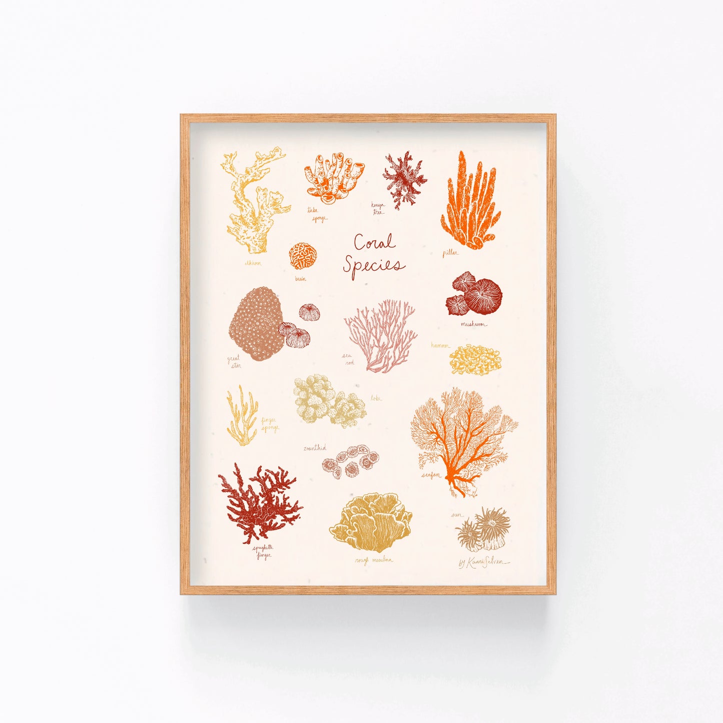 Coral Species Art Print