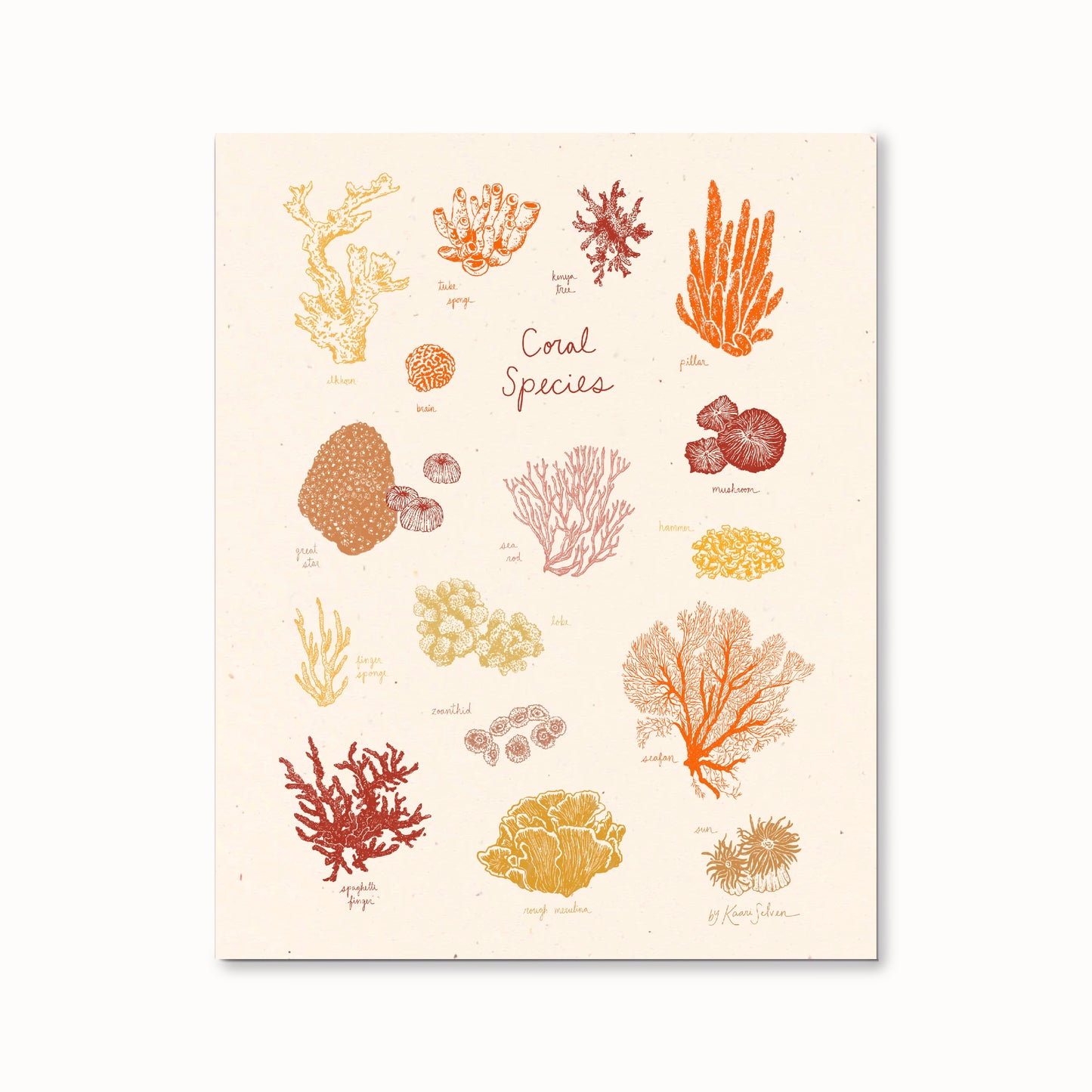 Coral Species Art Print