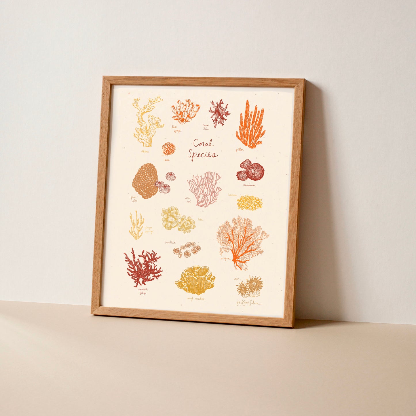 Coral Species Art Print