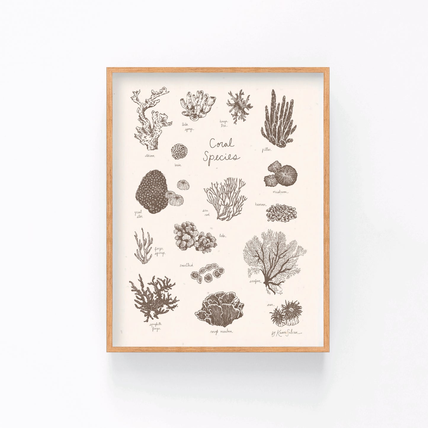 Coral Species Art Print