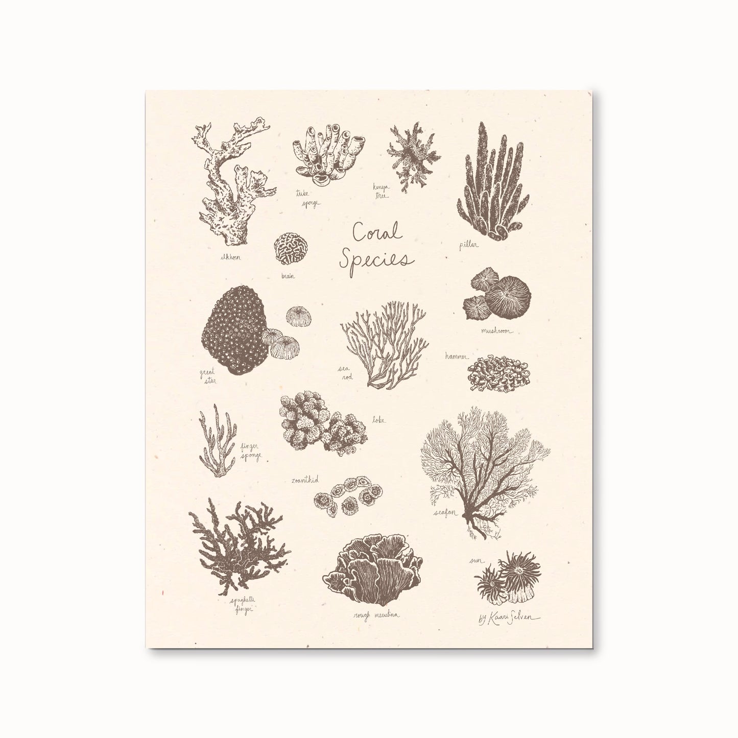 Coral Species Art Print