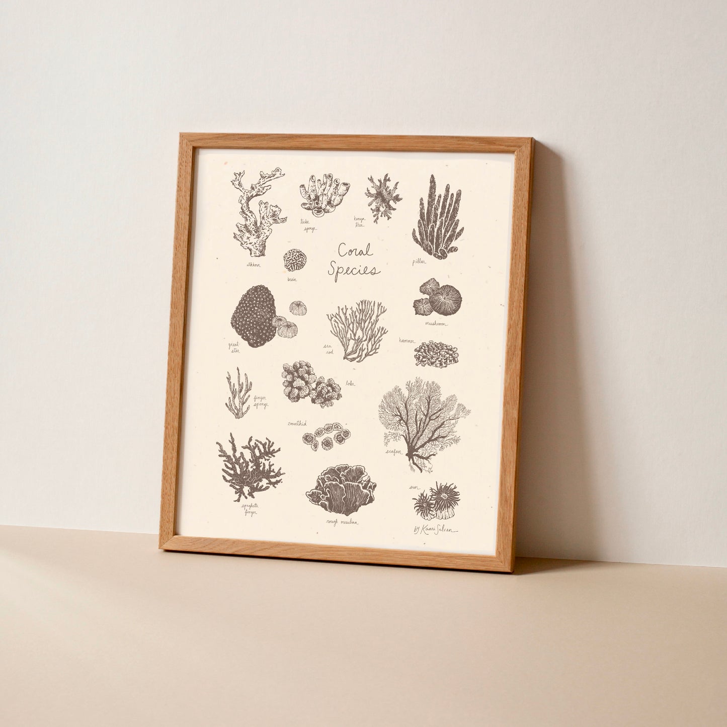 Coral Species Art Print