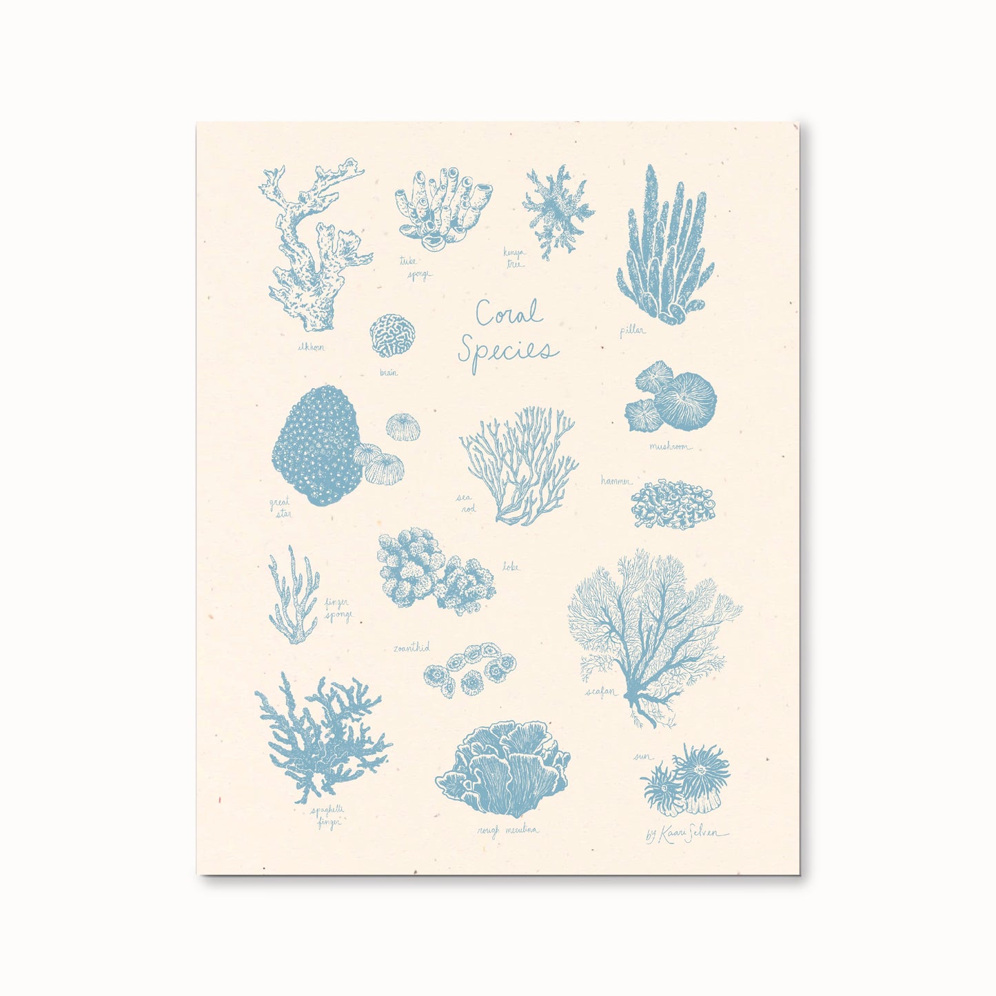 Coral Species Art Print