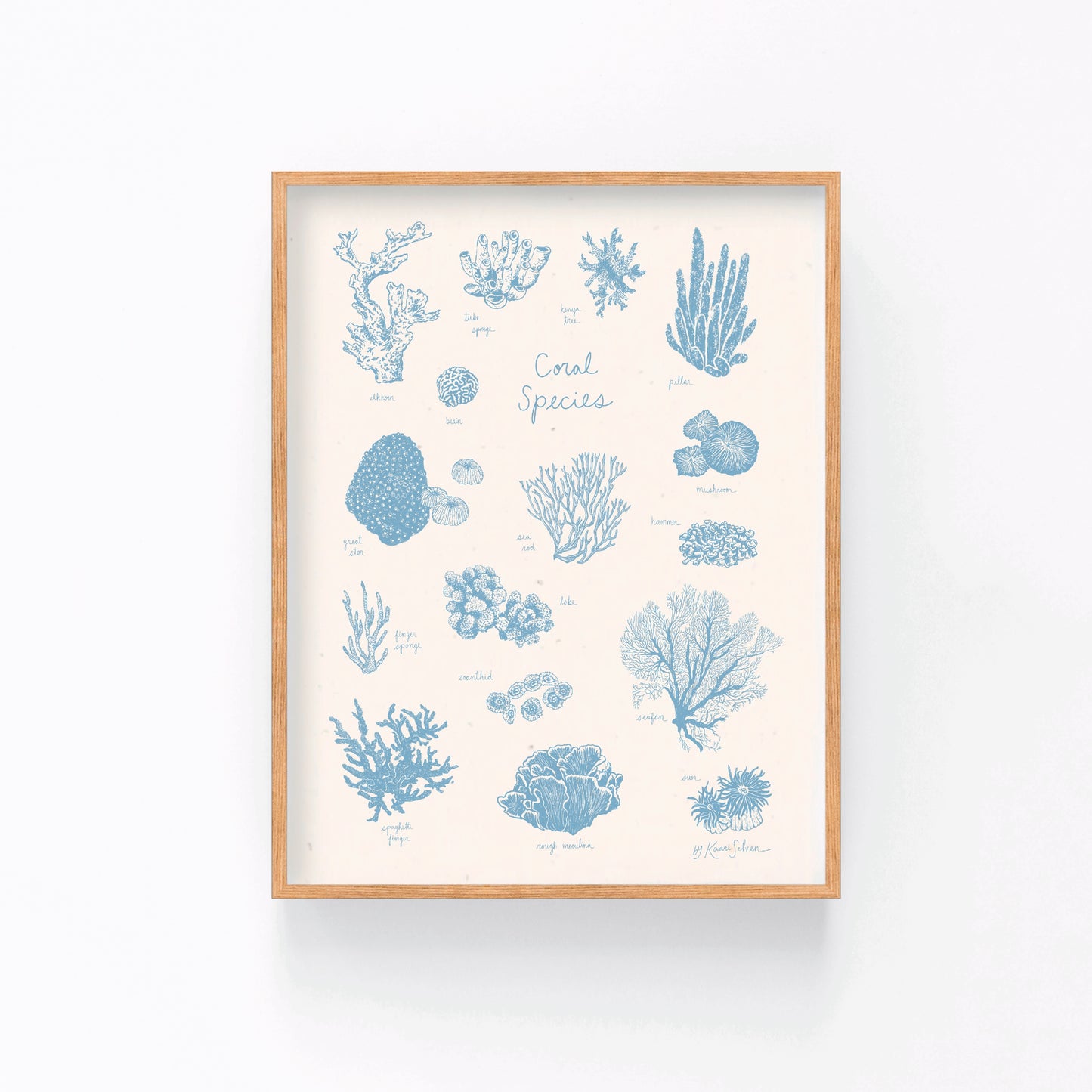 Coral Species Art Print
