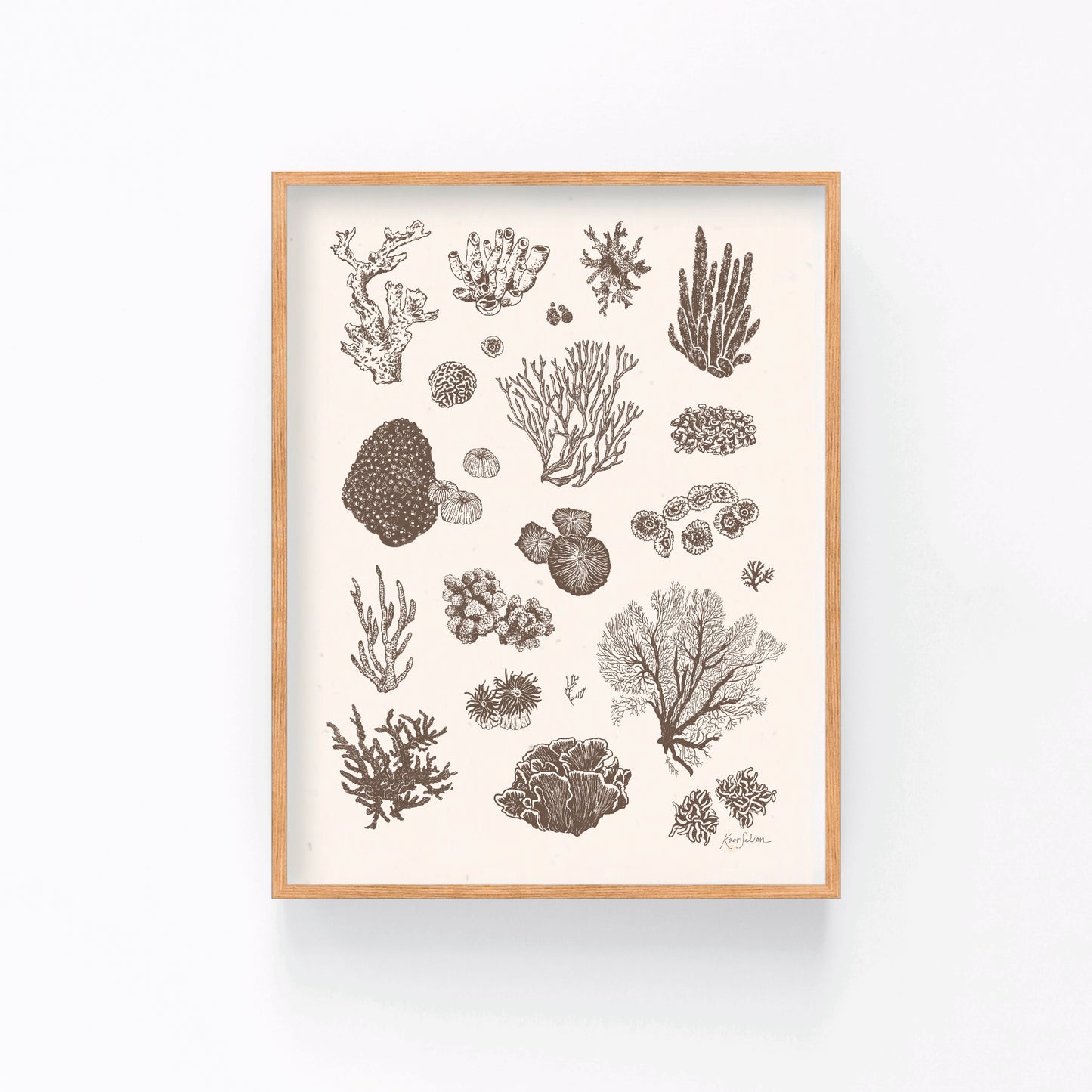 Coral Sketches I Art Print