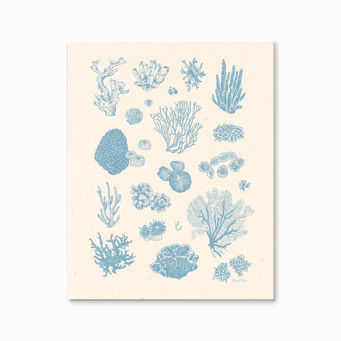 Coral Sketches I Art Print