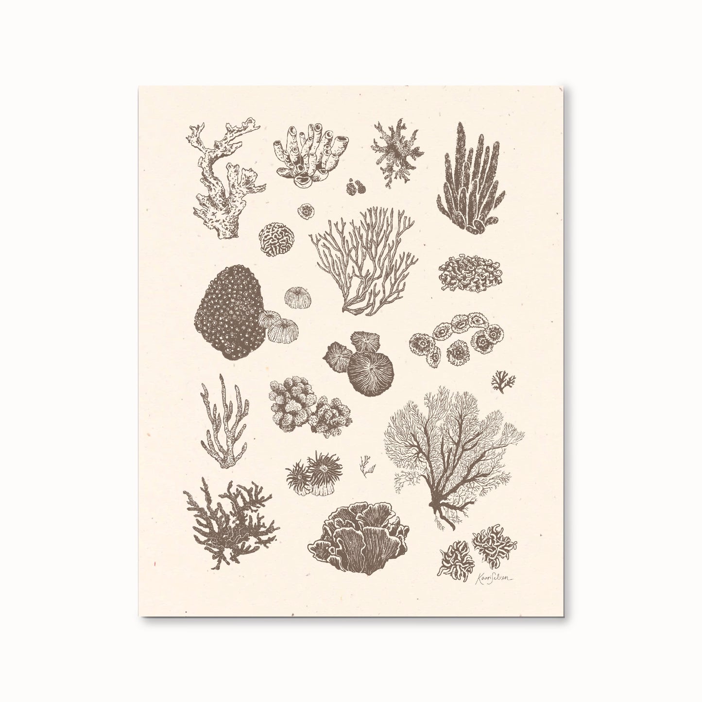 Coral Sketches I Art Print