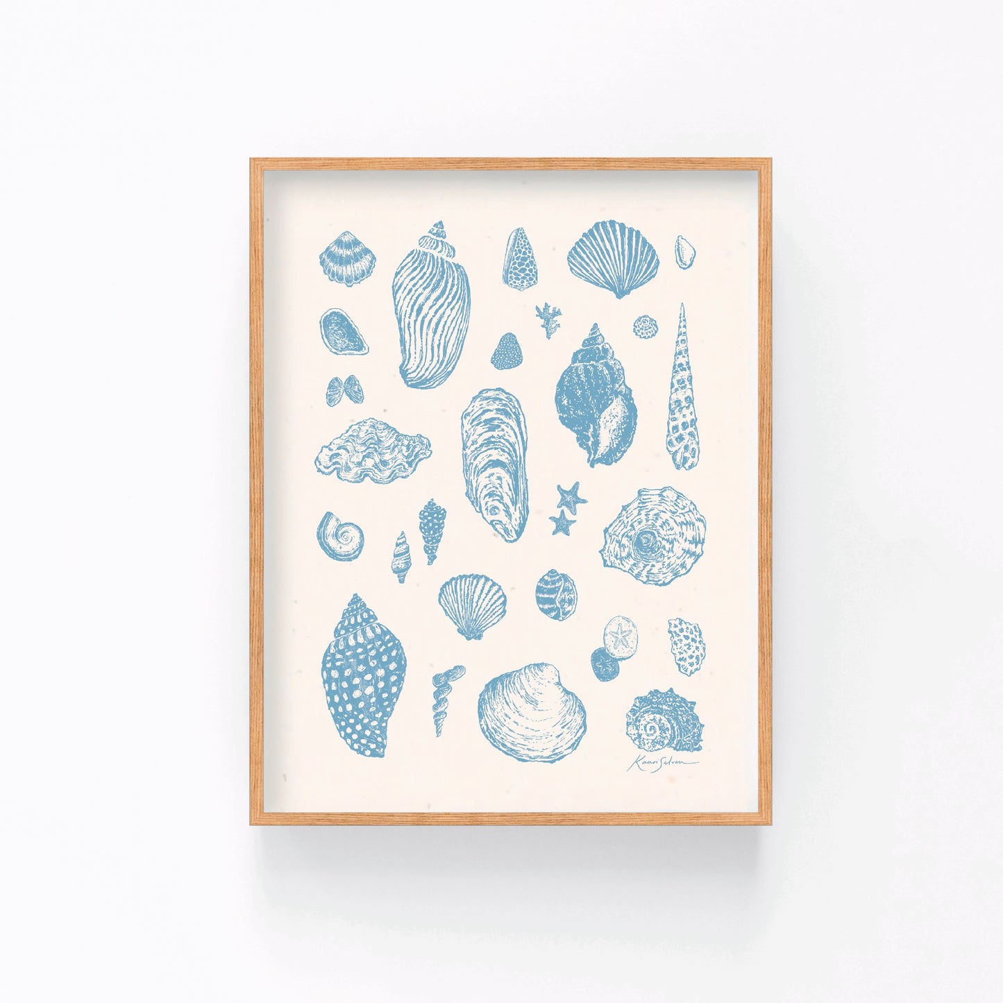 Seashell Sketches I Art Print