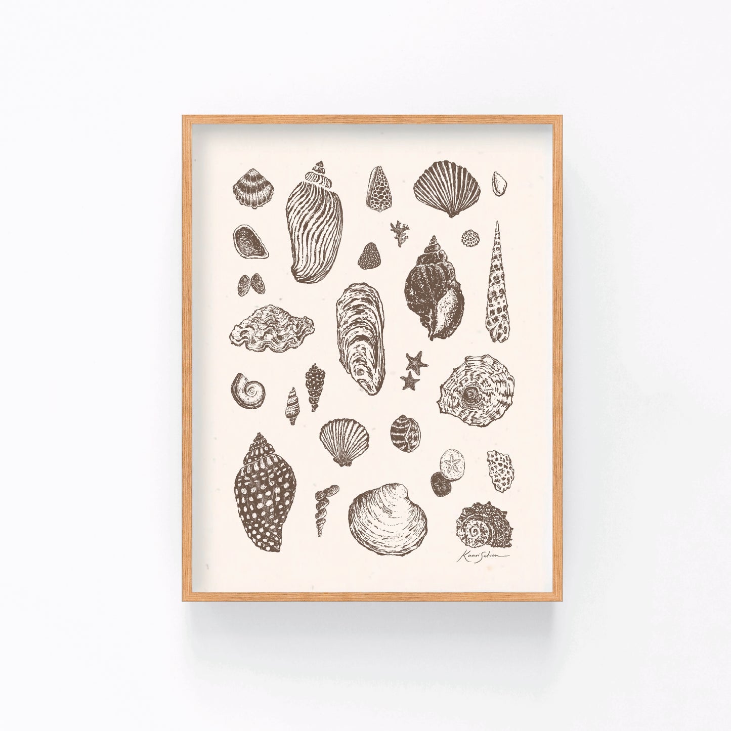 Seashell Sketches I Art Print