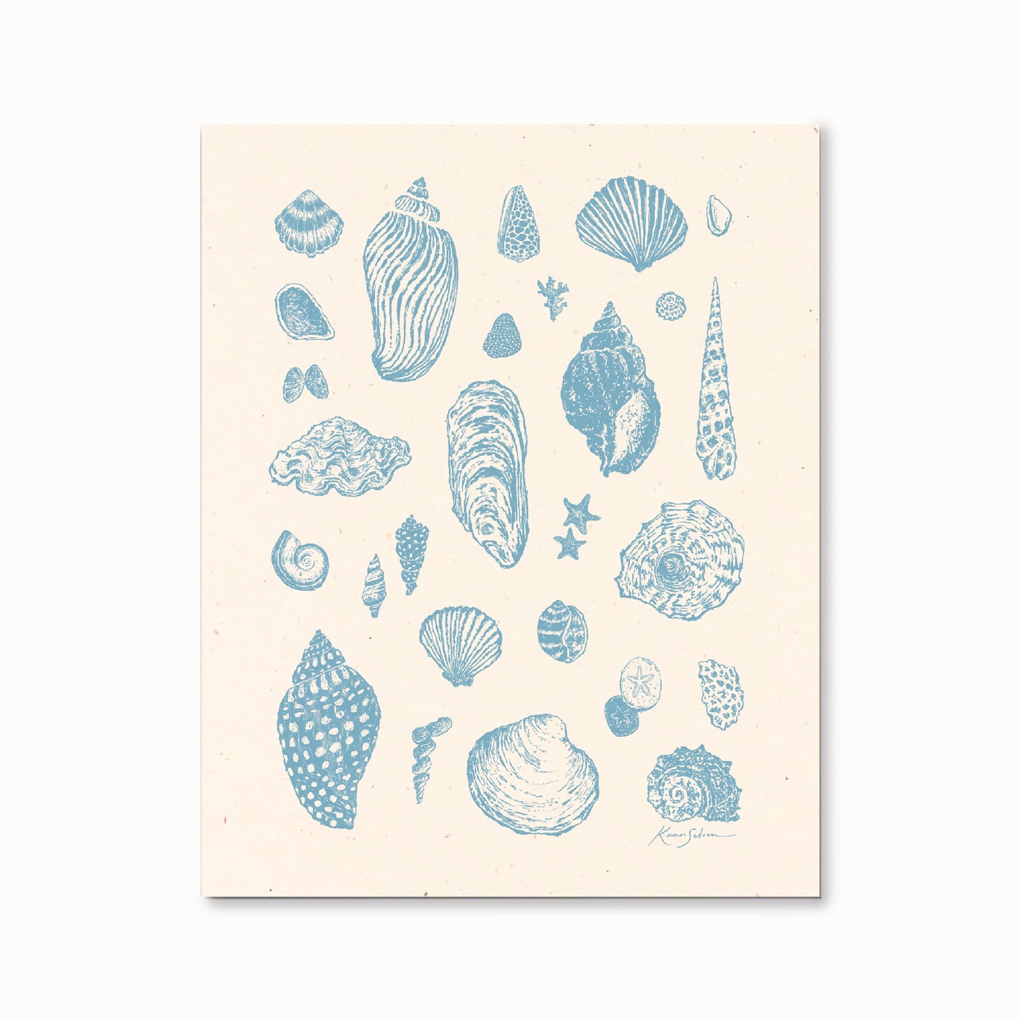 Seashell Sketches I Art Print